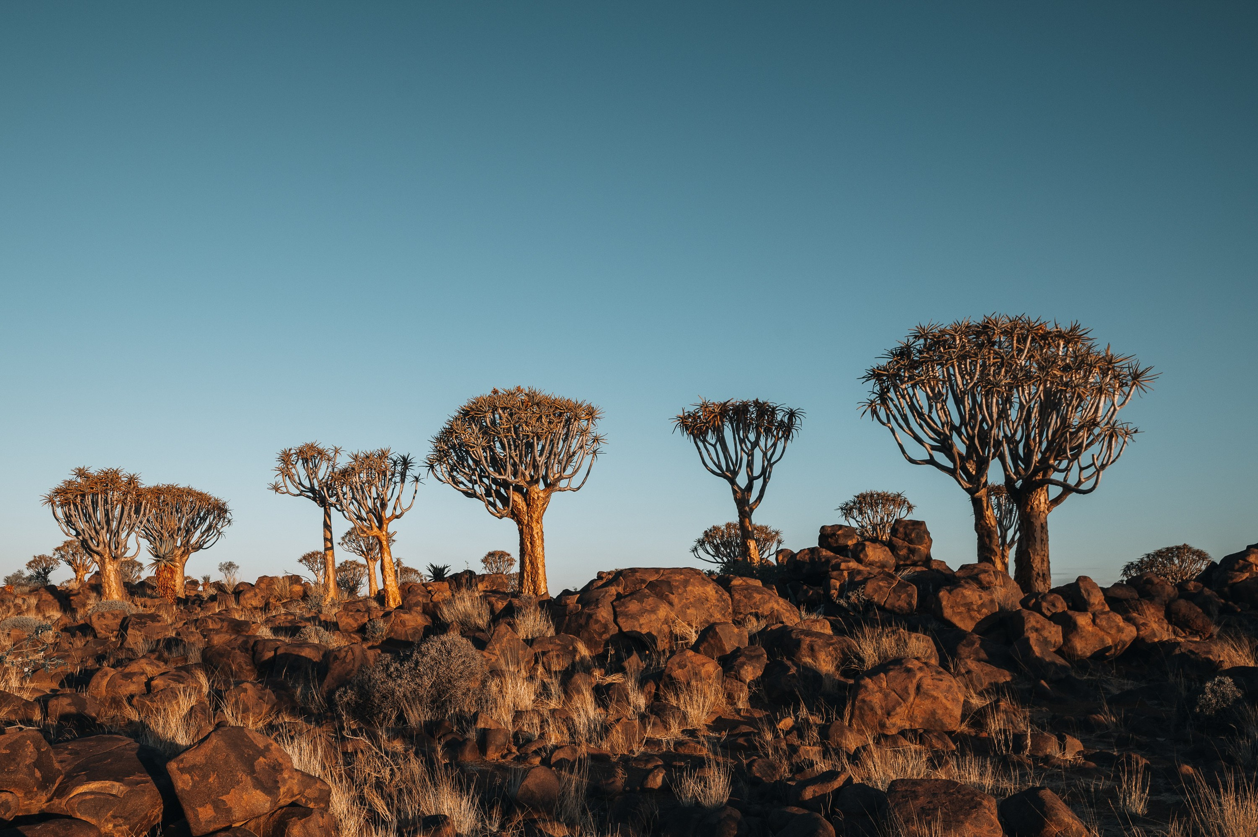 НАМИБИЯ. Роадтрип