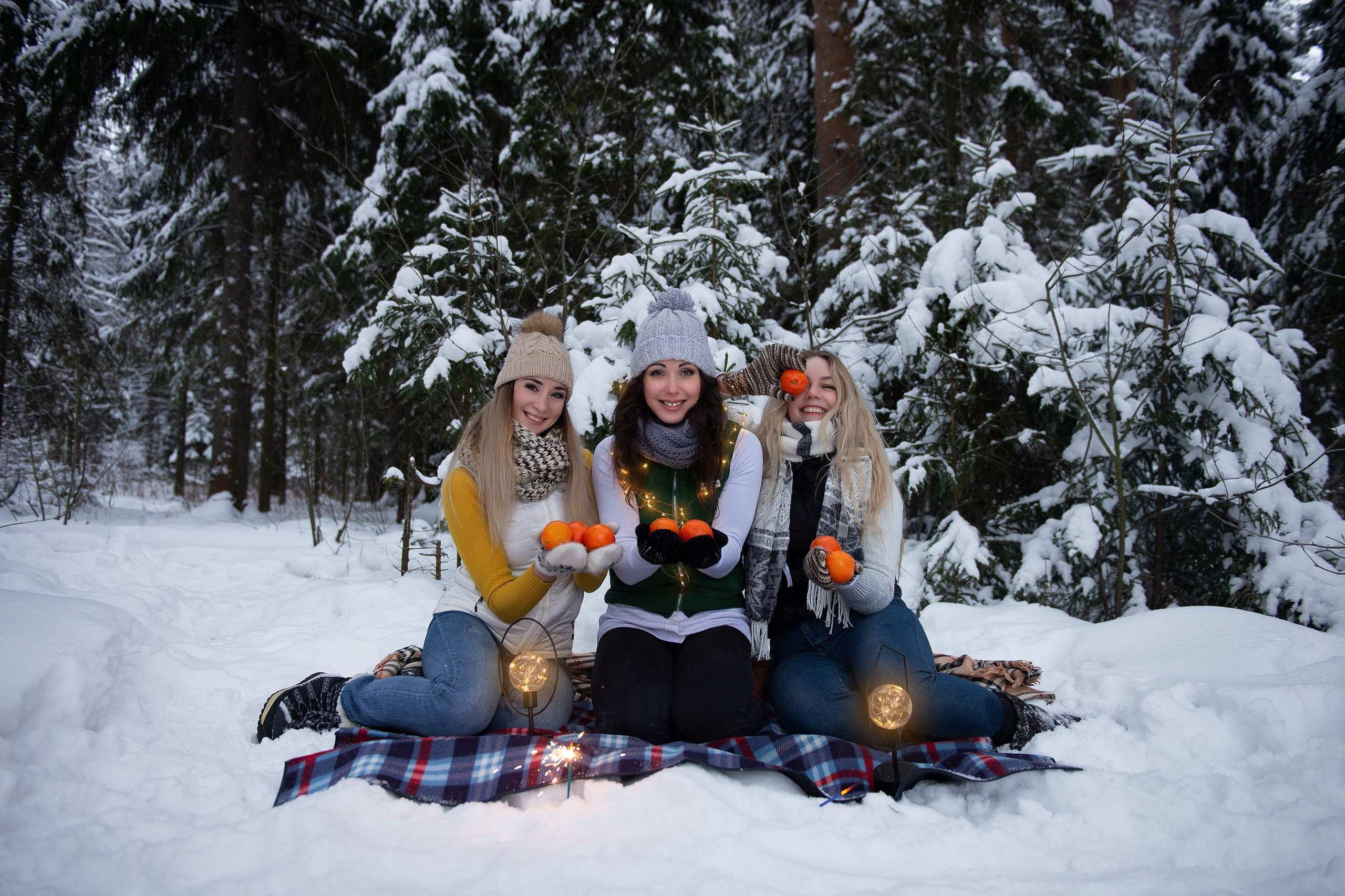 Зимний лес прекрасен. Творческий фотограф Вологда