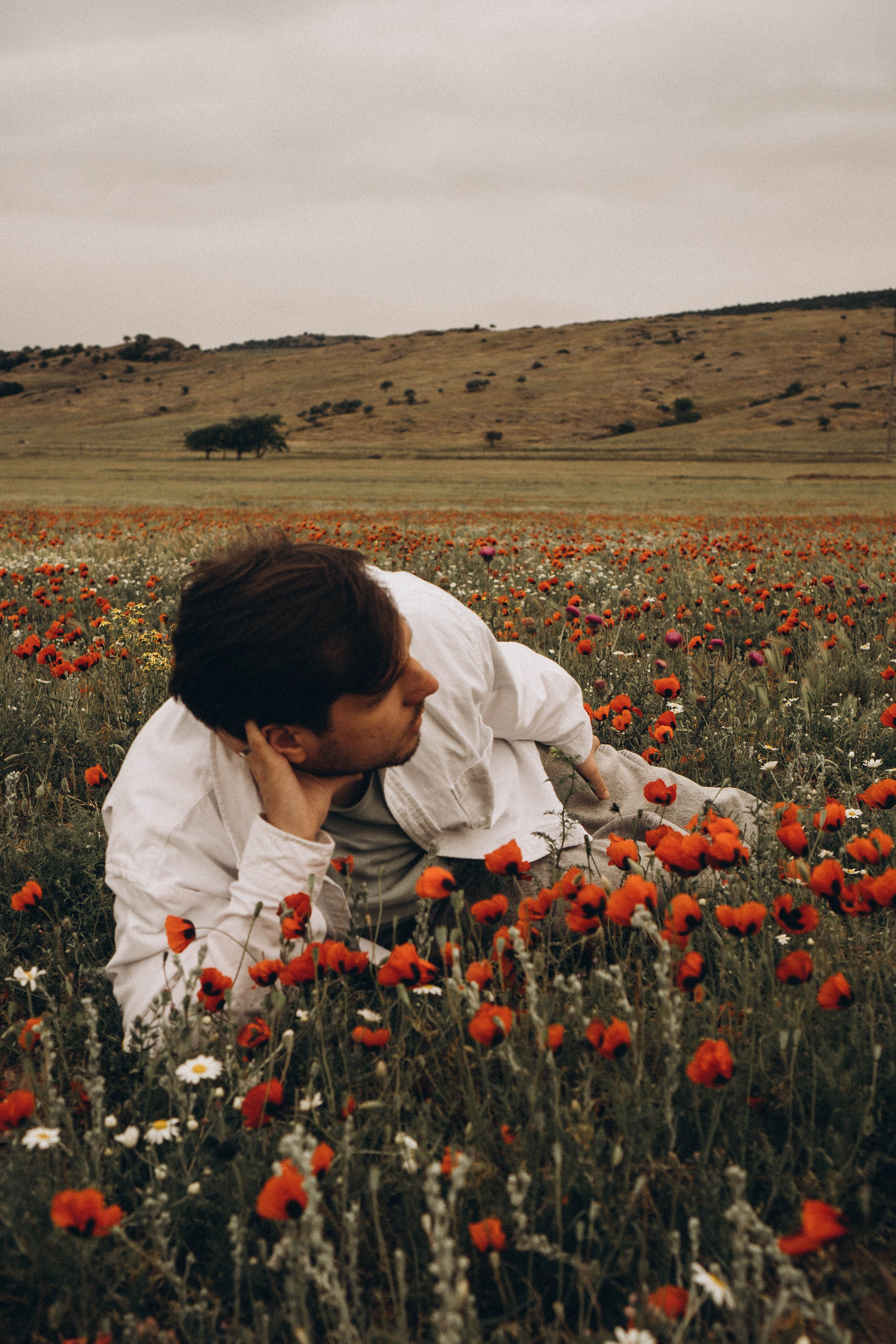 Маки. Профессиональный фотограф, Санкт-Петербург — Виктория Богомолова