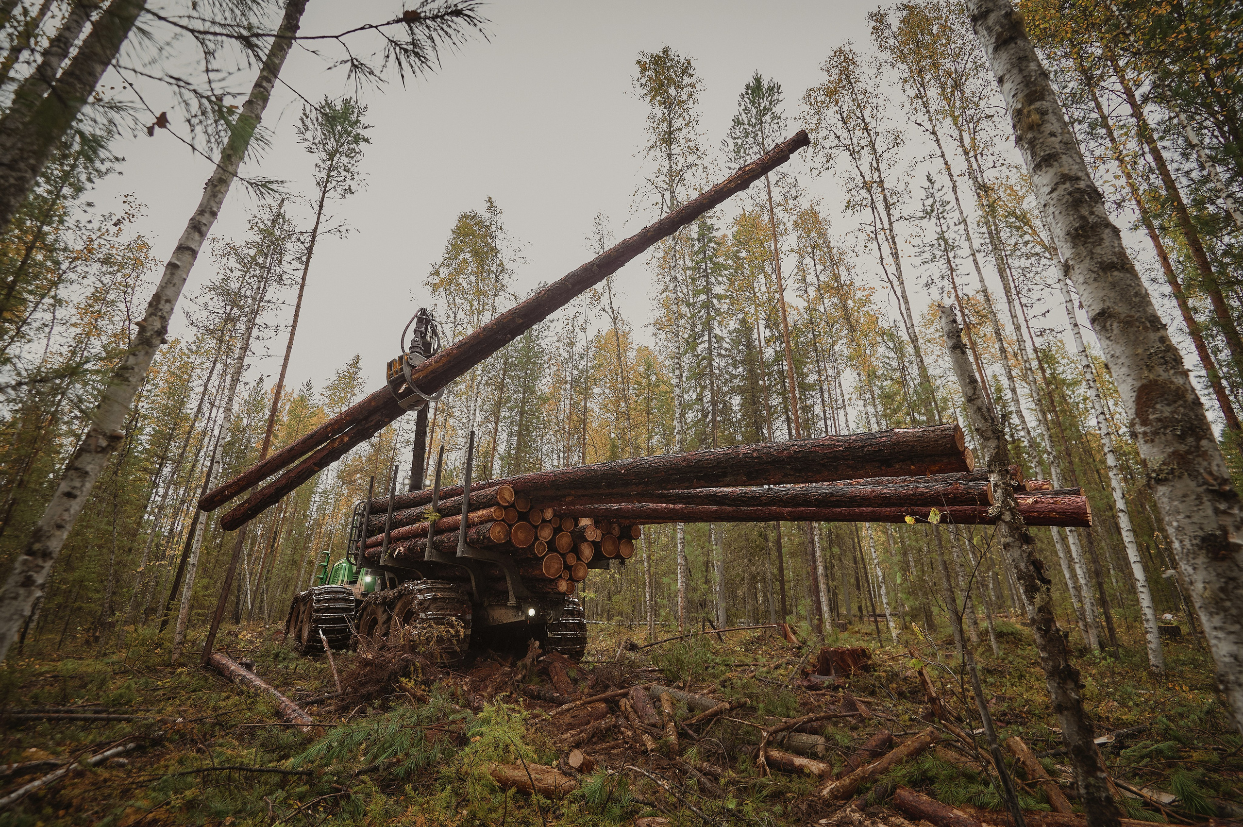 Лесозаготовка г. Мотыгино. Фотограф Яковлев Роман — Красноярск