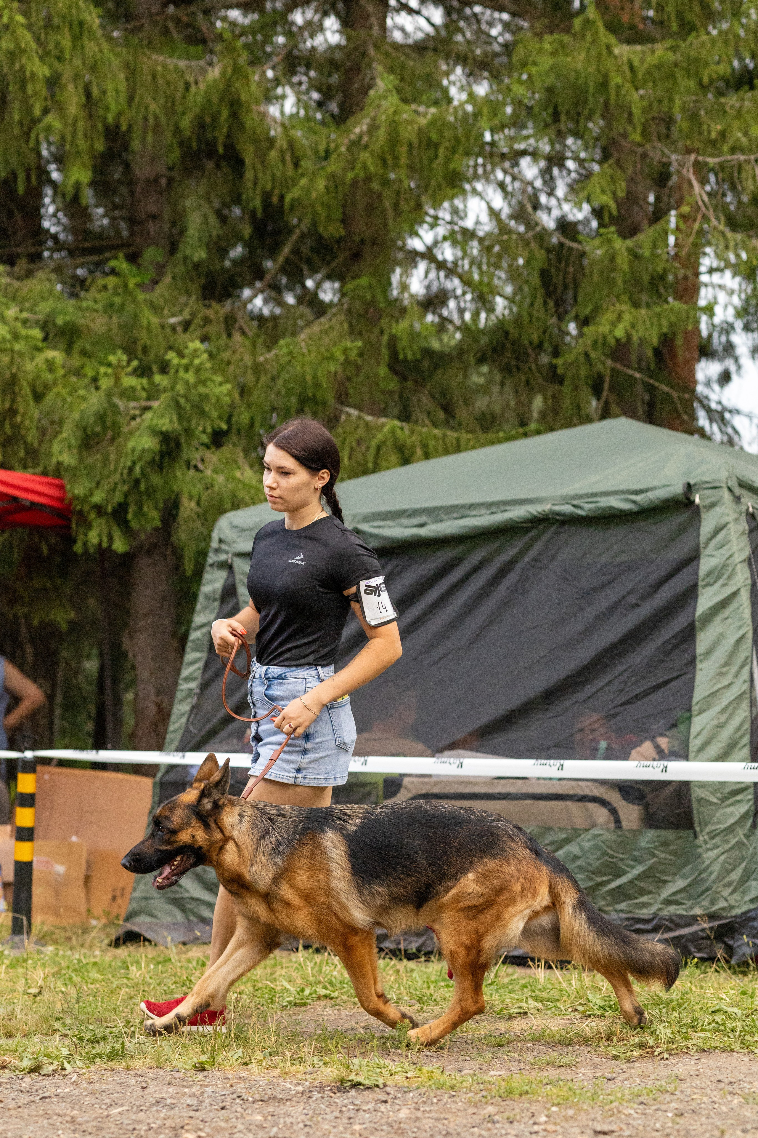 Собаки. Фотограф Яна Матвеева в Ижевске