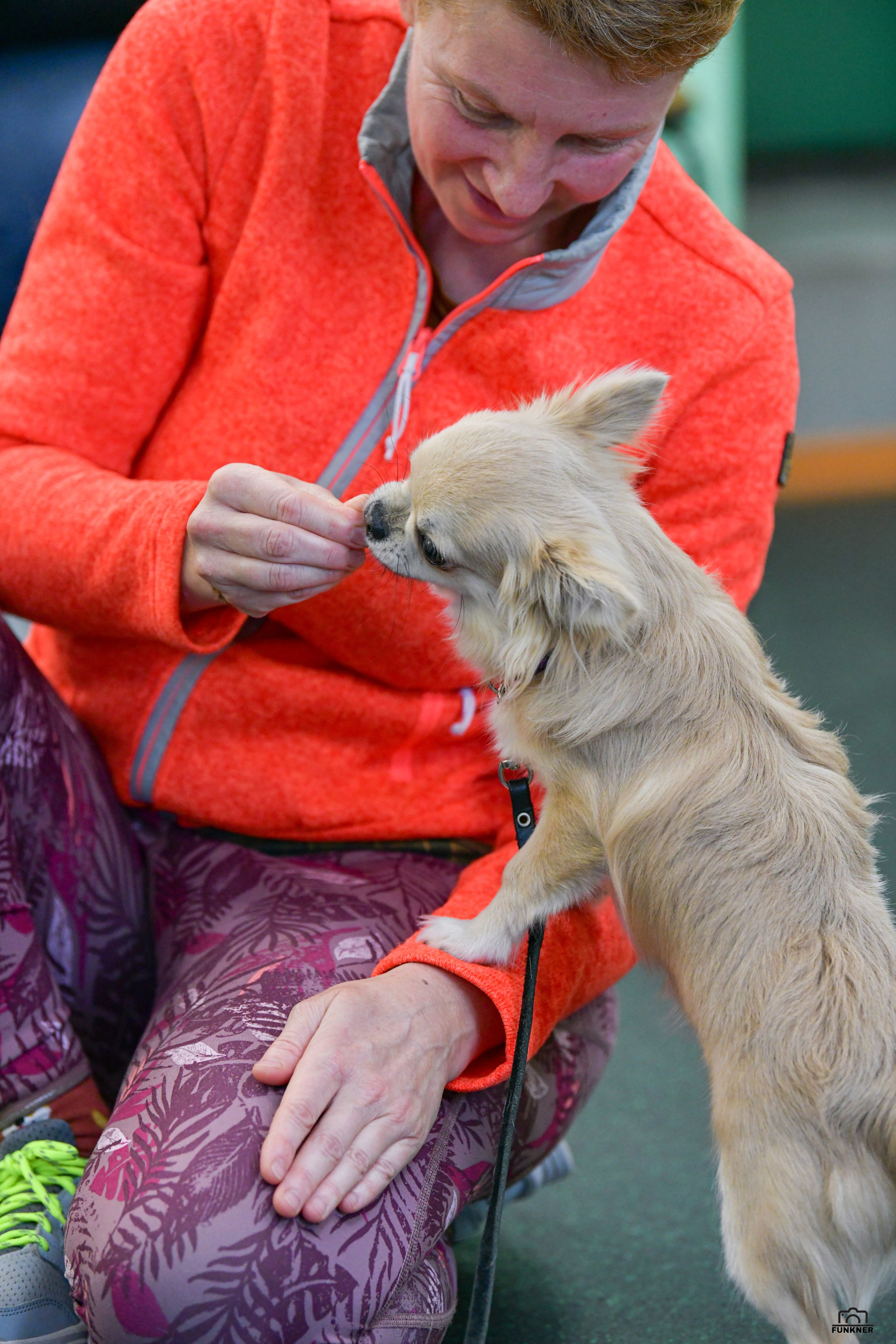 Кинологический клуб «Бодрый хвост». Свой взгляд через объектив
