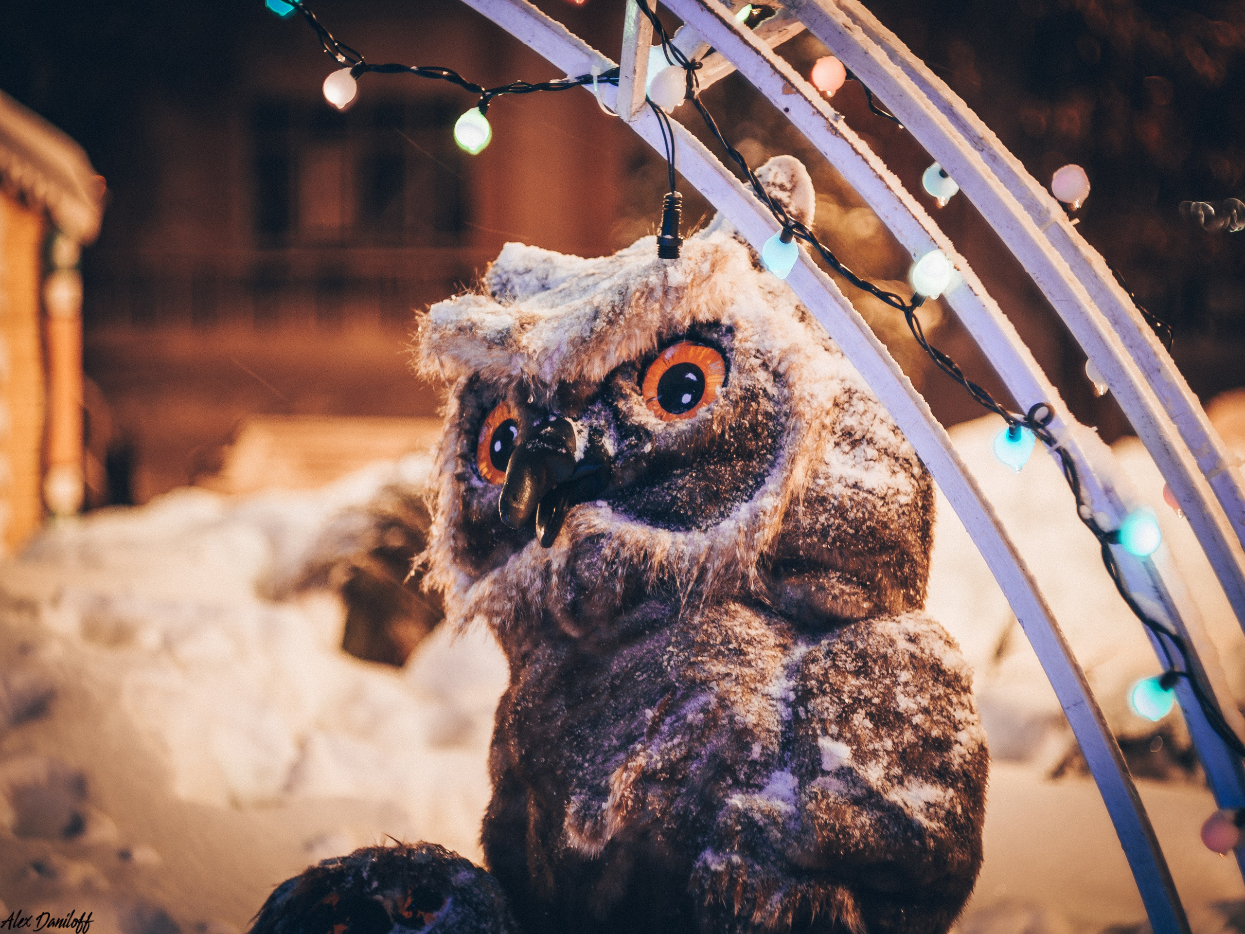 Новый год. Муром-Инфо. Новости культуры, образования, спорта в городе Муром