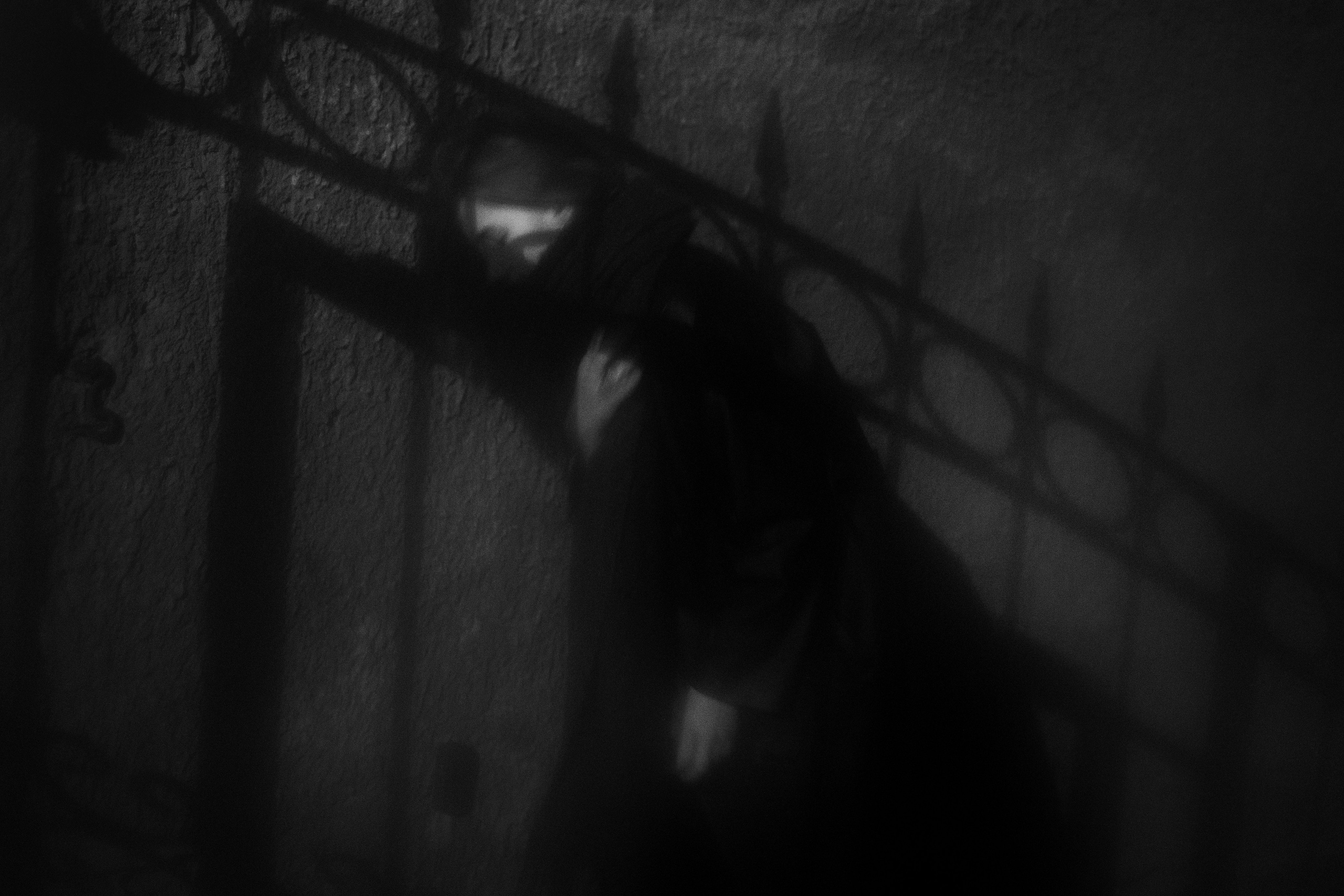 Документальная фотография. Фотохудожник Дарья Берг в Санкт-Петербурге и Москве