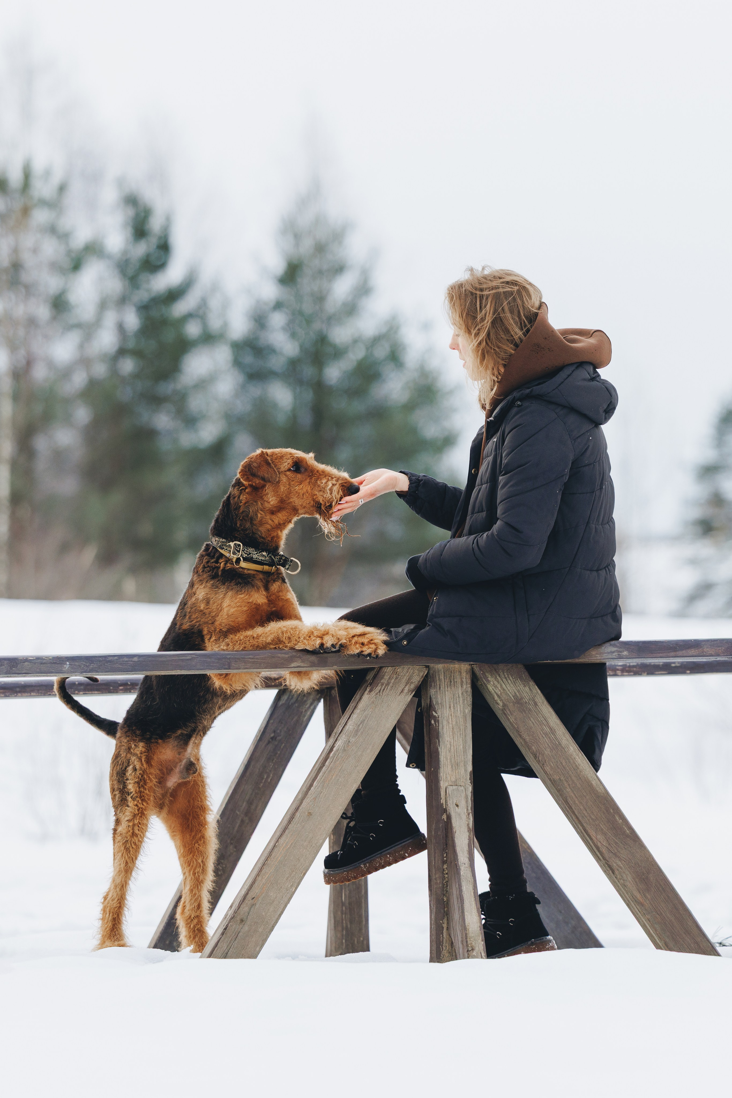 Оля и Хард. Фотограф анималист Осипчикова Мария