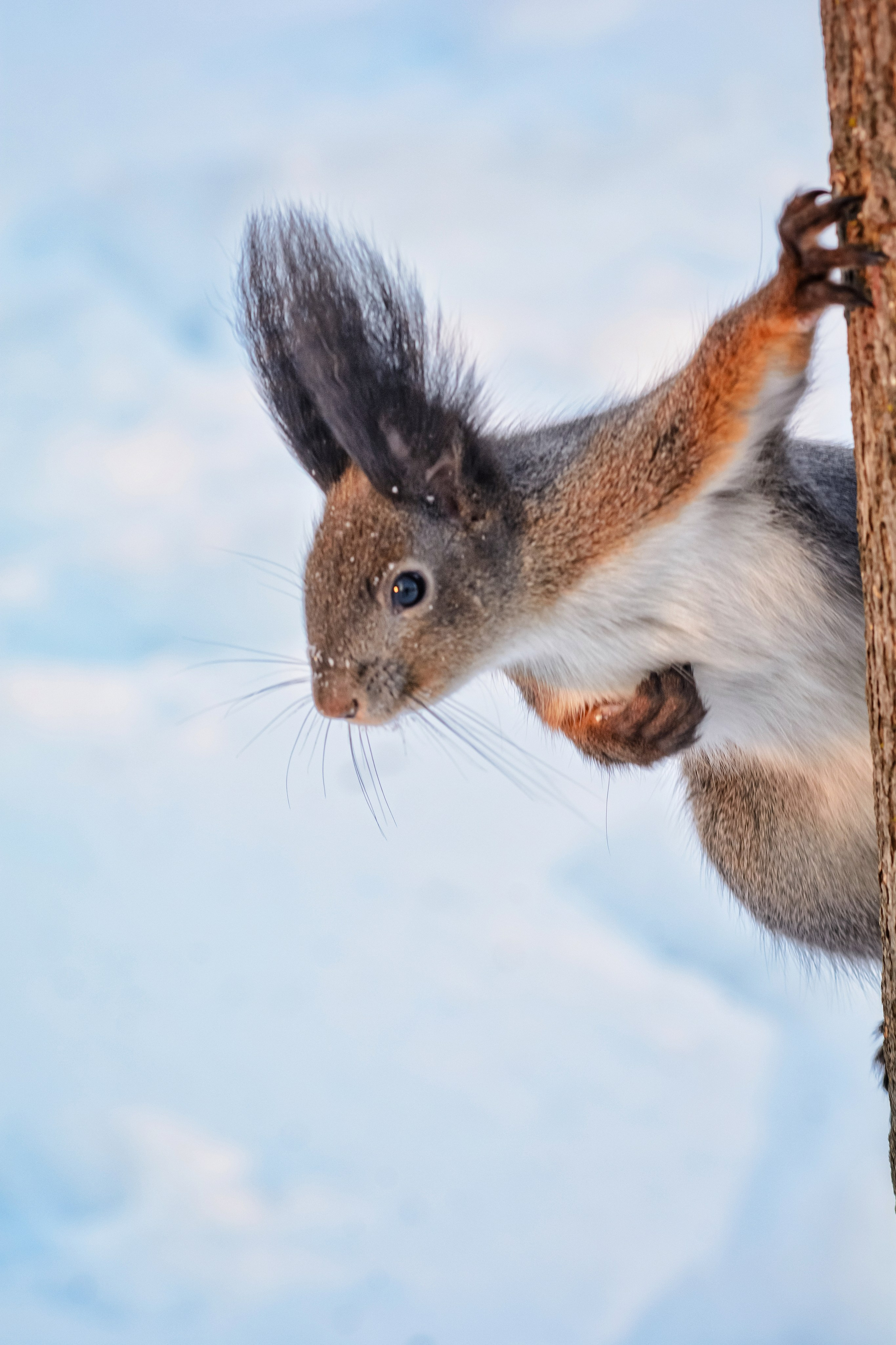 Пейзажи и дикая природа. Пейзажный и репортажный фотограф