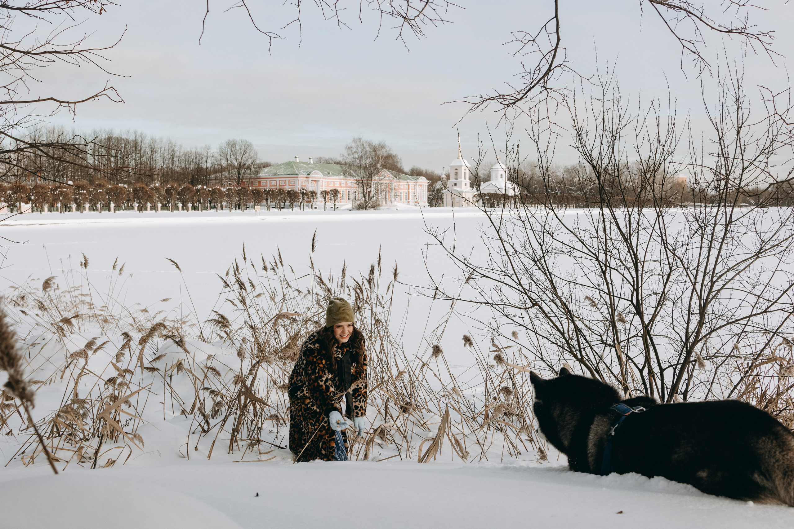 Вегас и его семья. Фотограф — Анималист | Санкт-Петербург