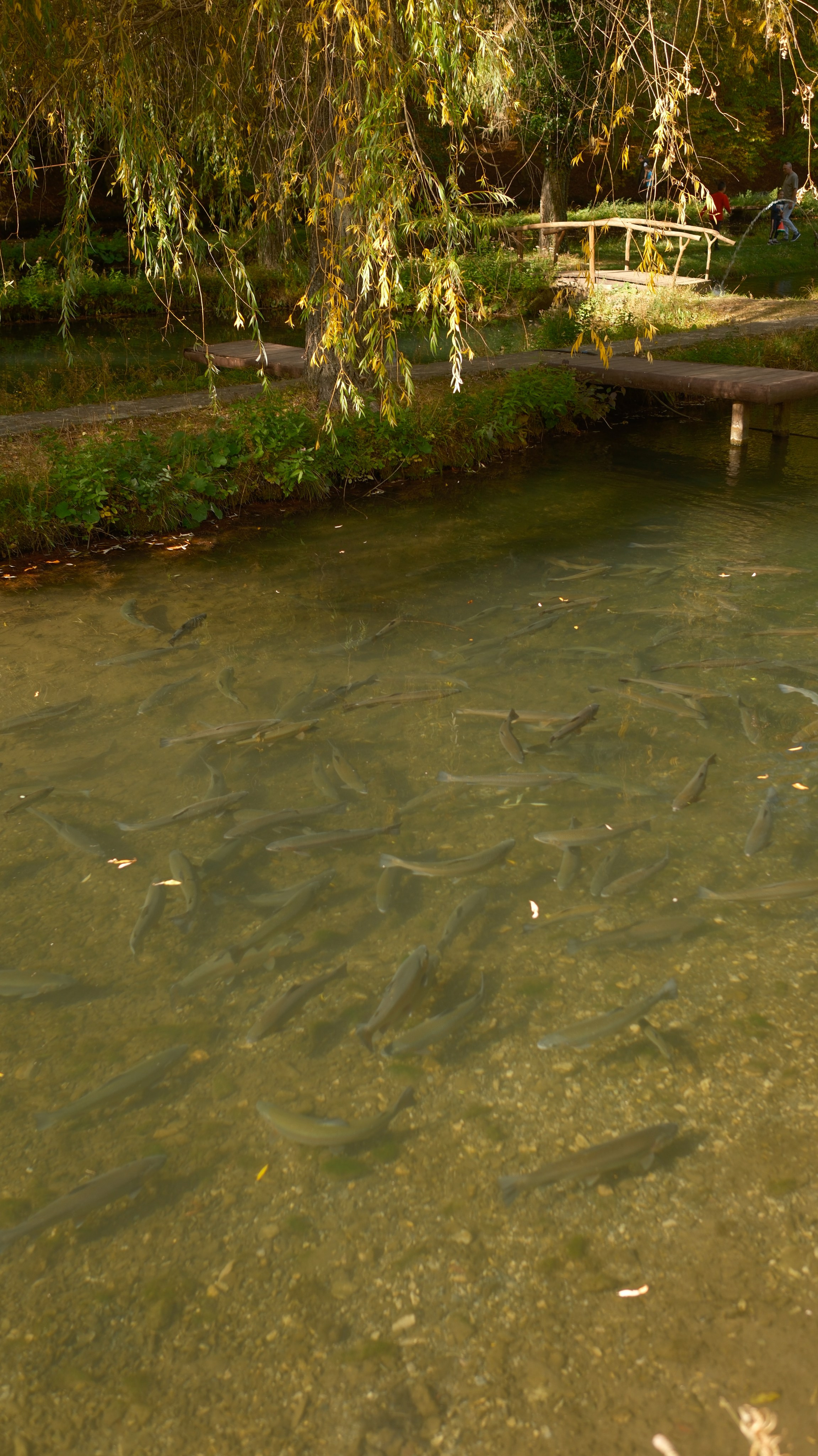 Хочу в Национальный Парк «Крымский». Гид и фотограф в Крыму Сергей Соколов