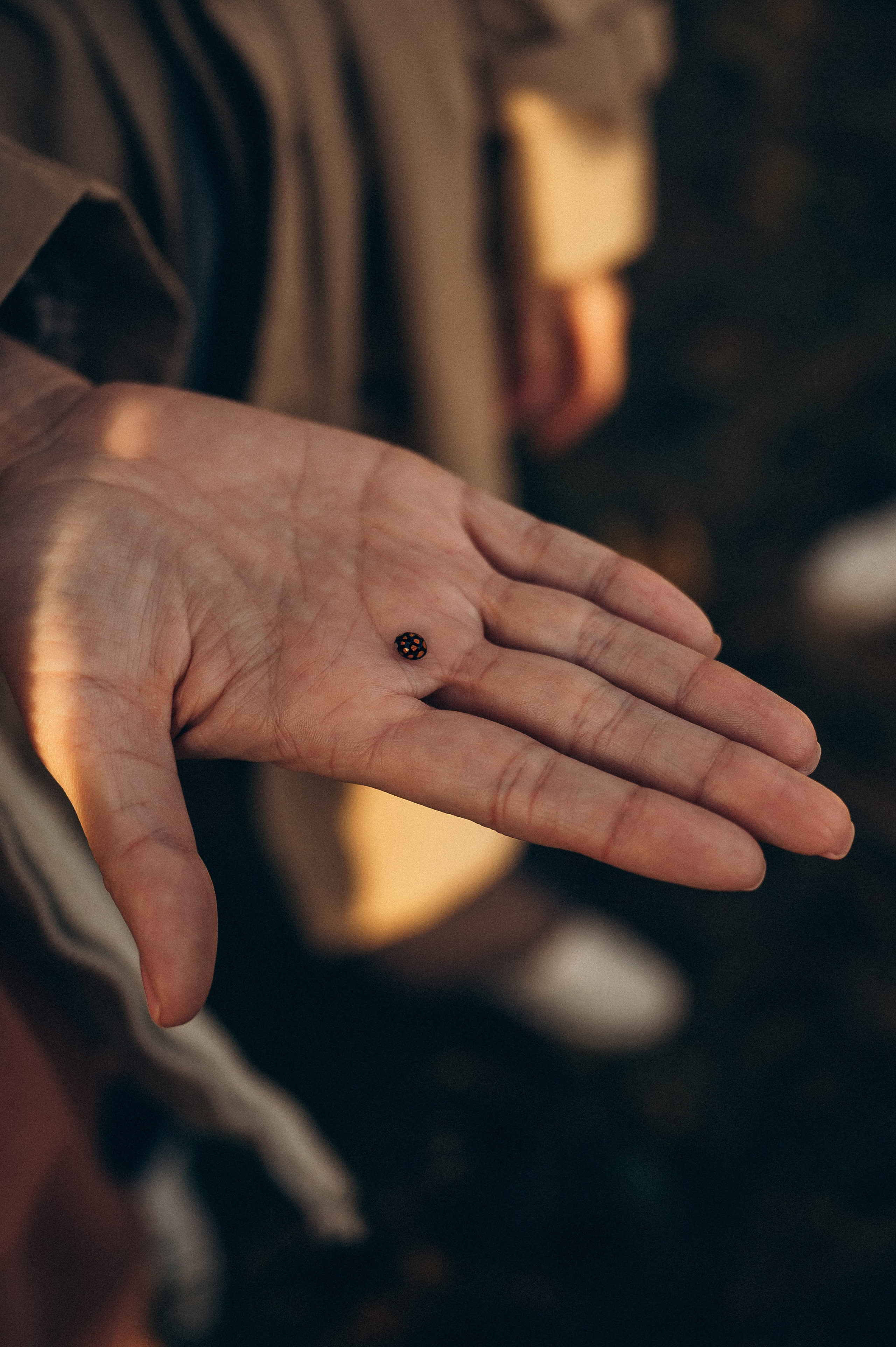 Полина, Паша и Варя. Семейный и свадебный фотограф в Красноярске Садкеева Юлия