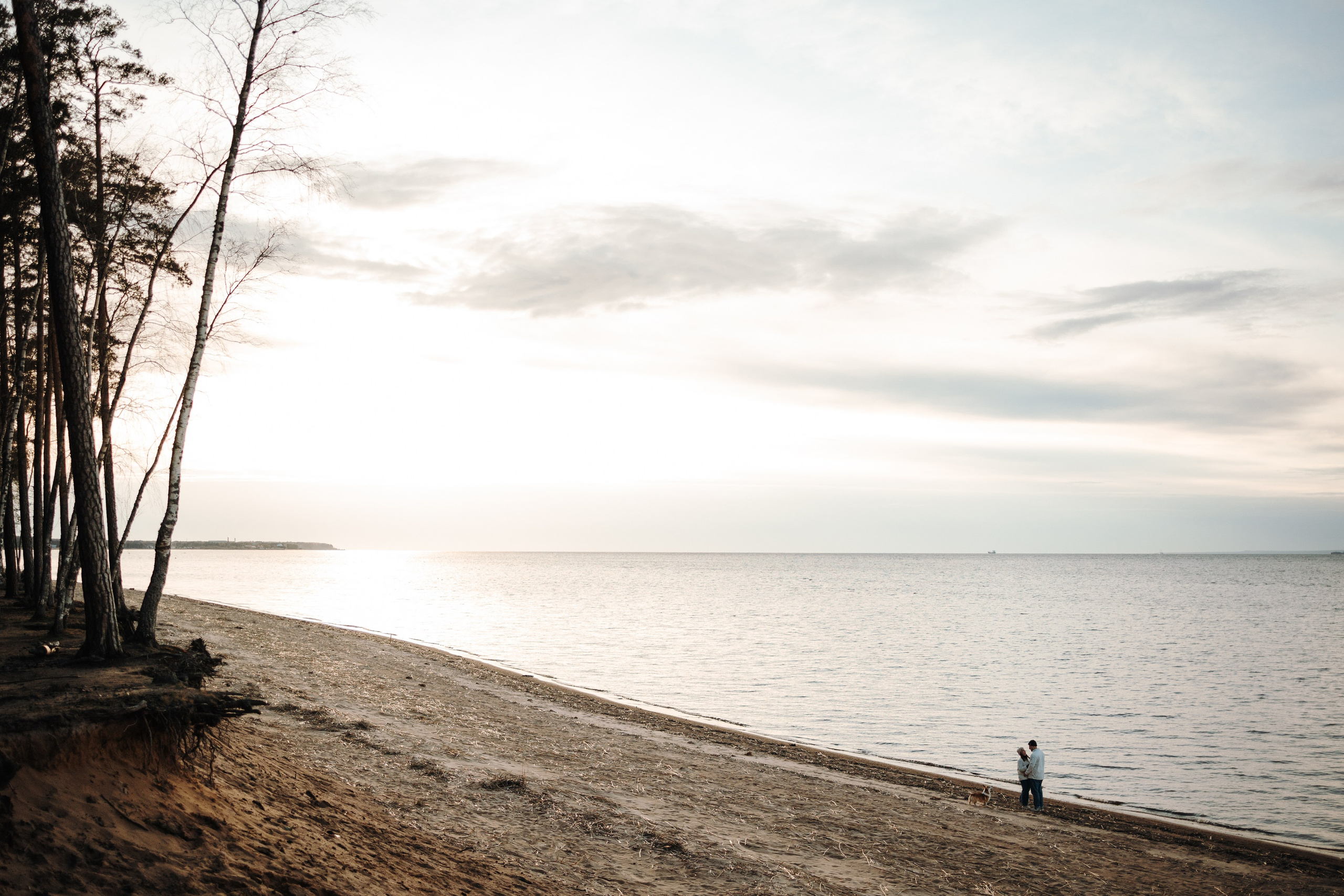 Найт и его семья. Фотограф — Анималист | Санкт-Петербург