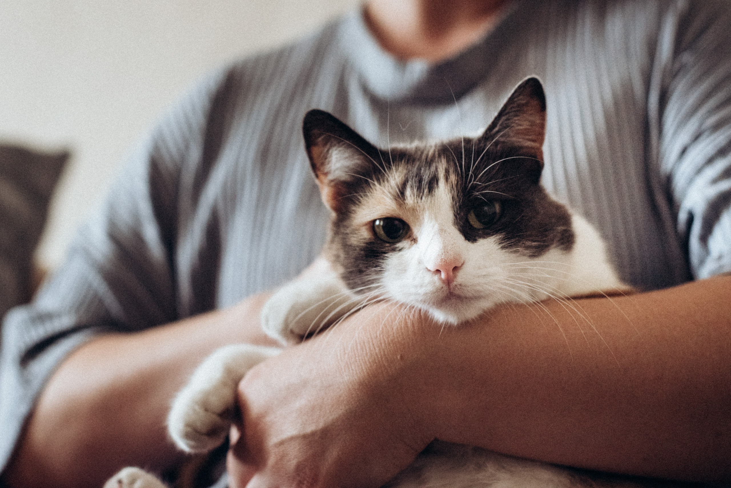 ХВОСТАТЫЕ. Дом обретенный. Детский и семейный фотограф выпускной альбом Приморско-Ахтарск