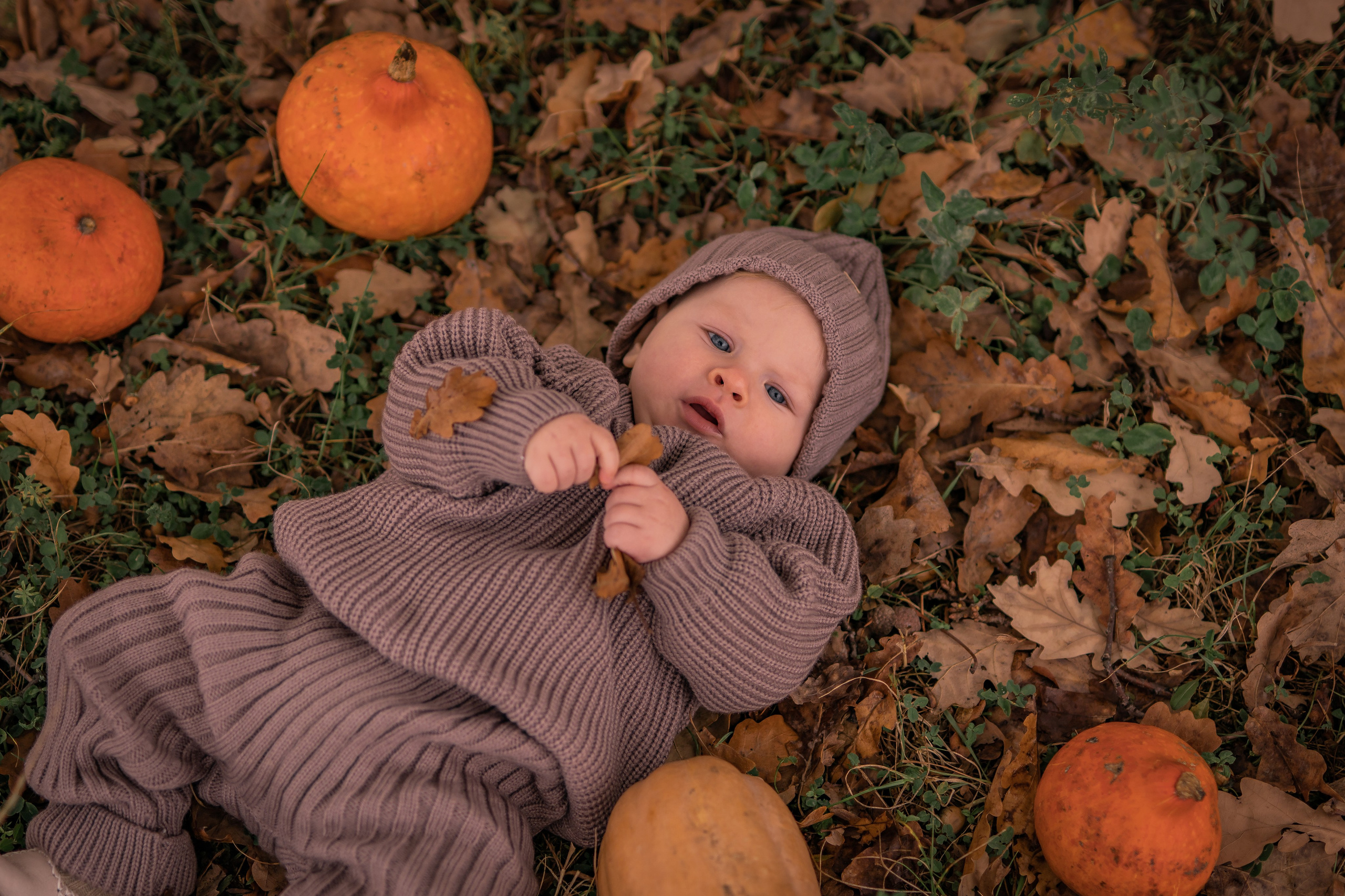 Осенняя история. Семейный фотограф Ефремова Виктория