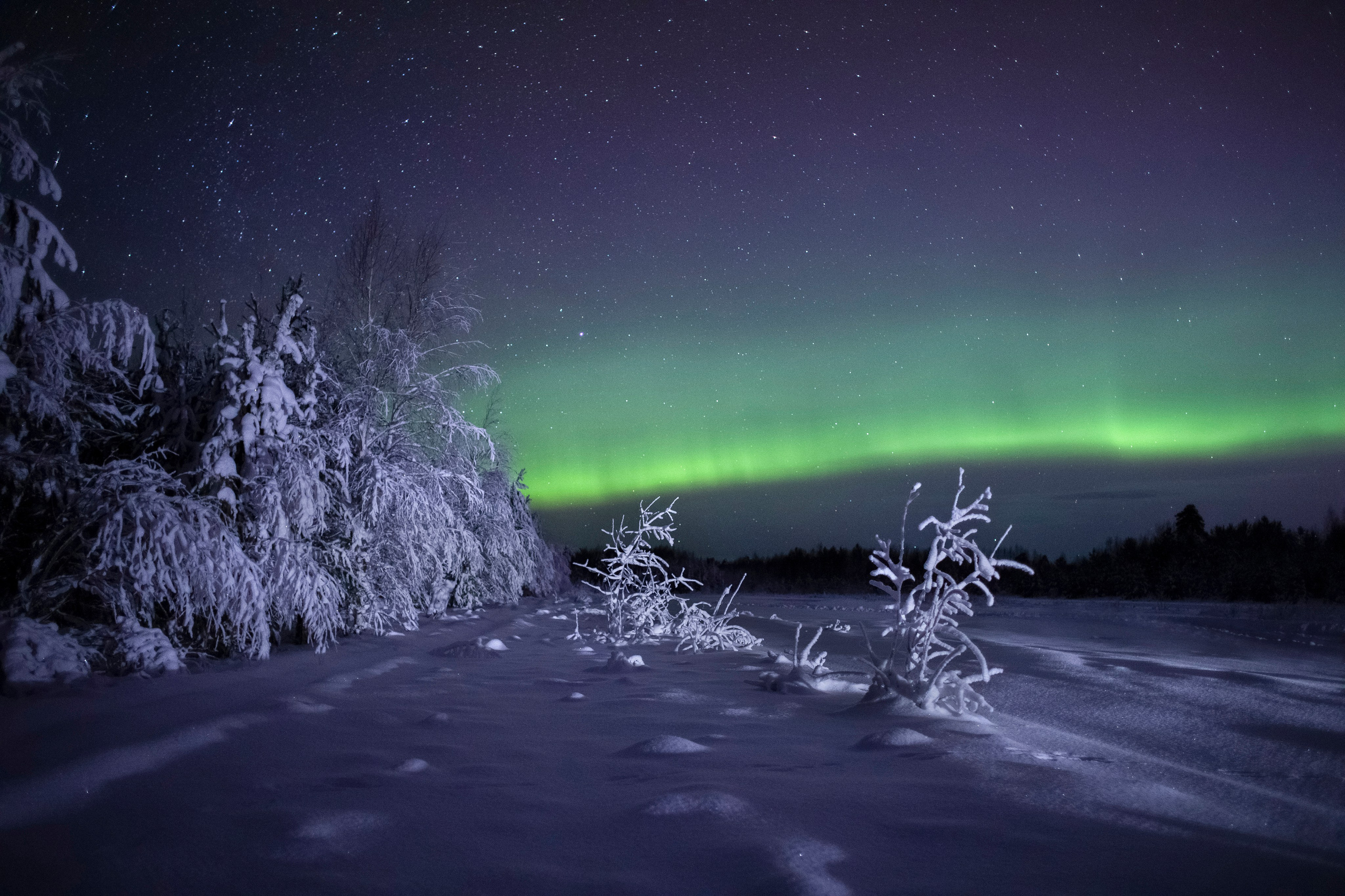 Северное сияние. Фотограф Татьяна Борисова
