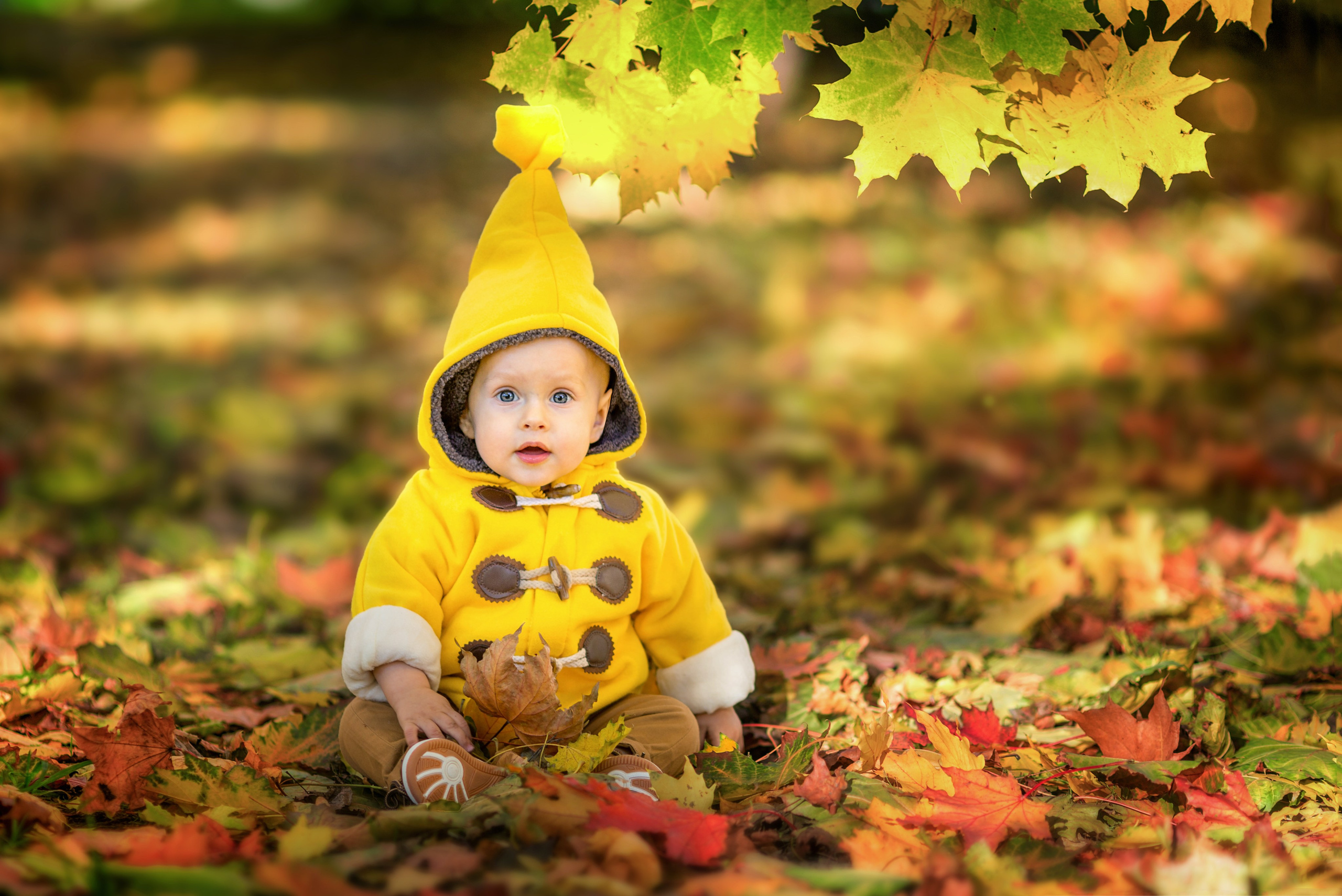 Лучший детский и семейный фотограф. Детский фотограф в России Екатерина Штерн