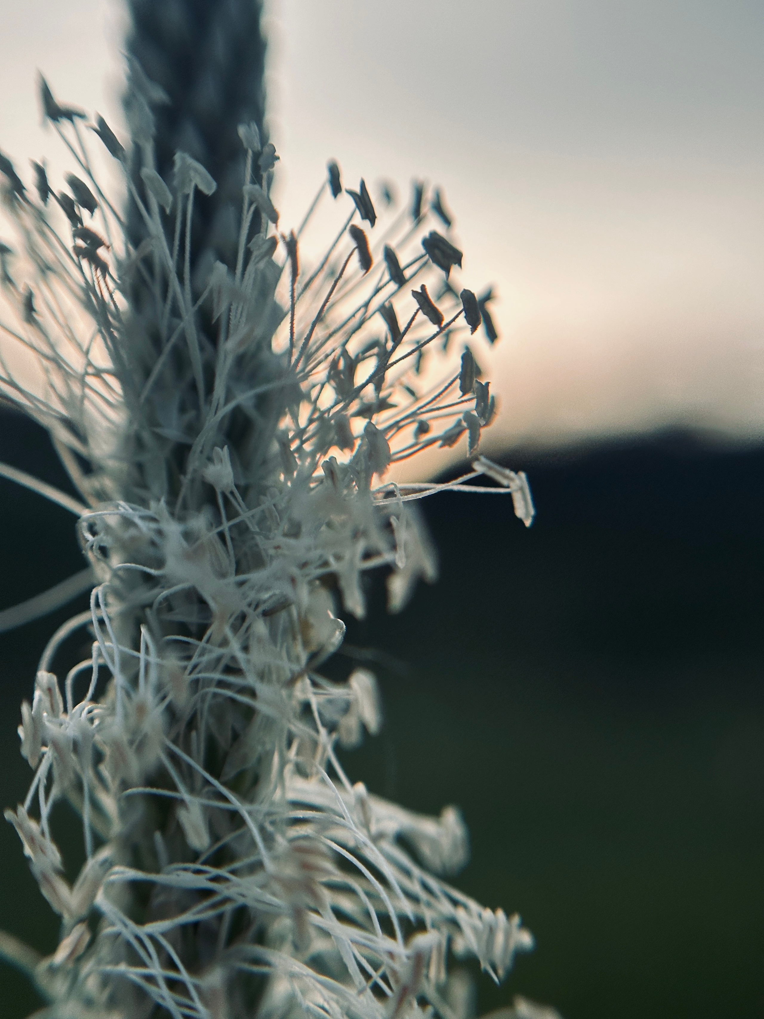 Флора и фауна. Смотри, красота!