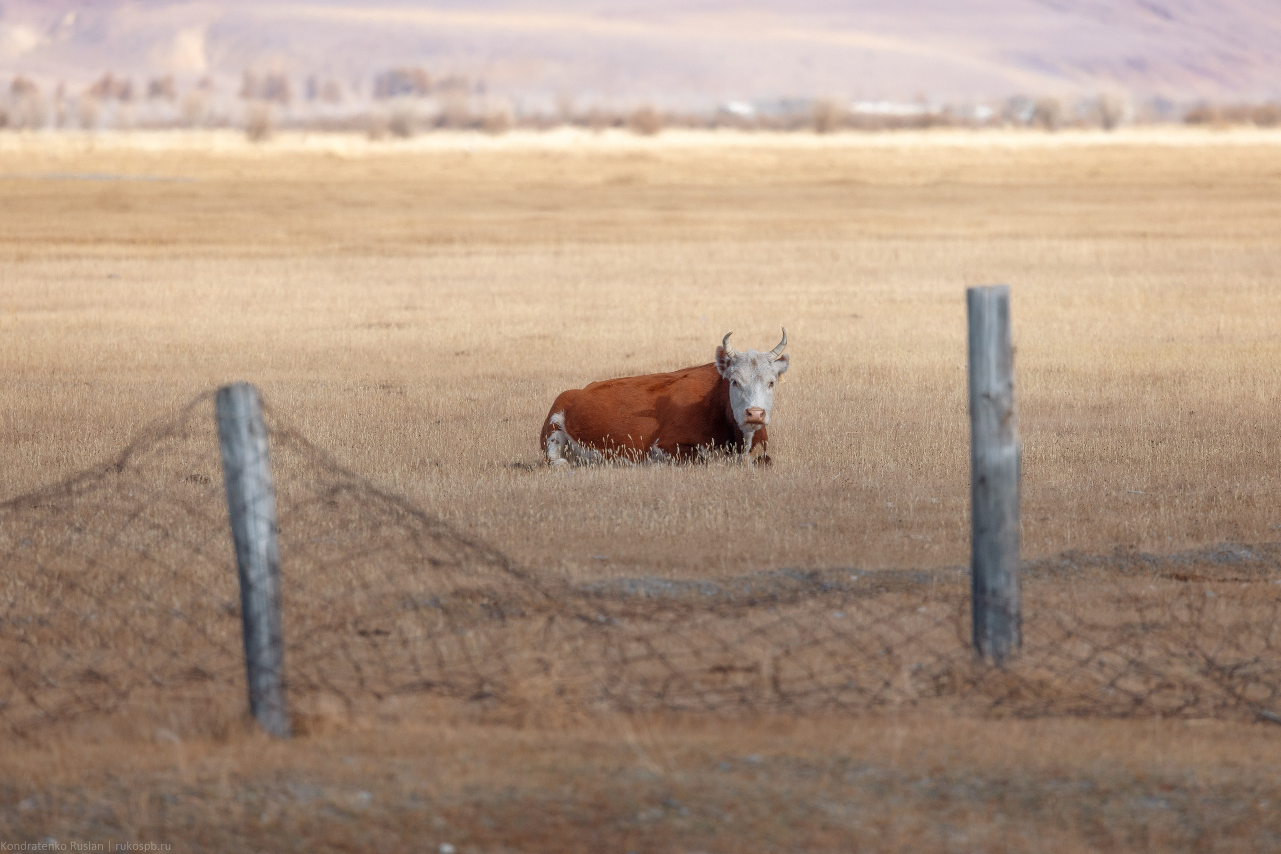 Горный Алтай. Архитектурный и пейзажный фотограф Кондратенко Руслан, Санкт-Петербург