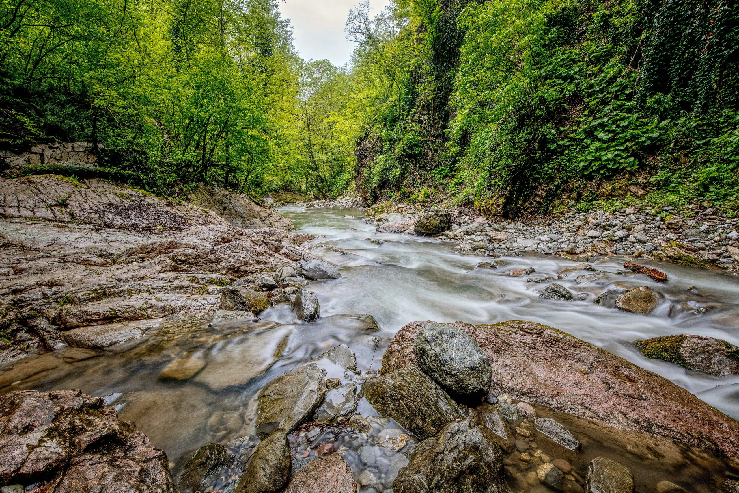Река Ажек во время дождя, Природа, Алексей Касаткин, Москва