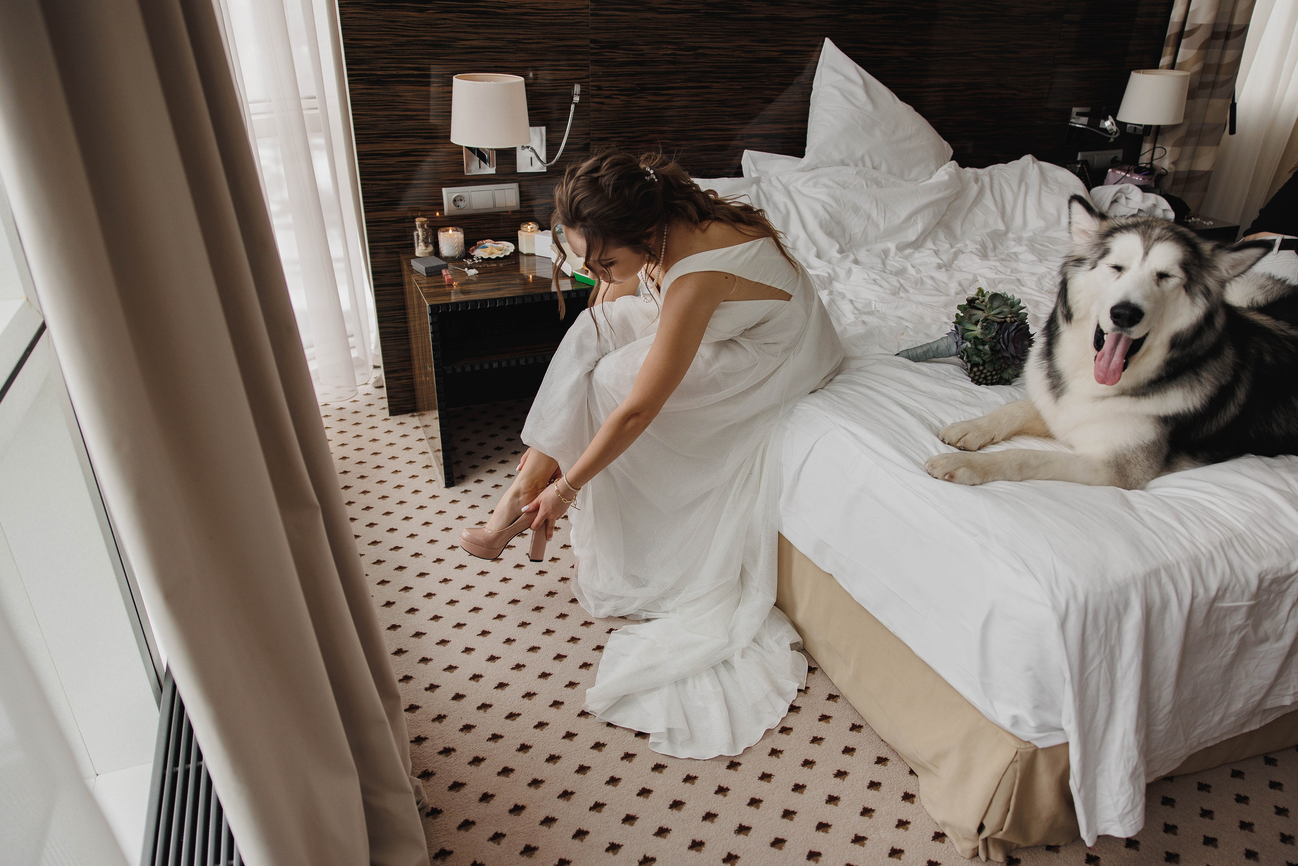 Собака, бургер и любовь. Галерея