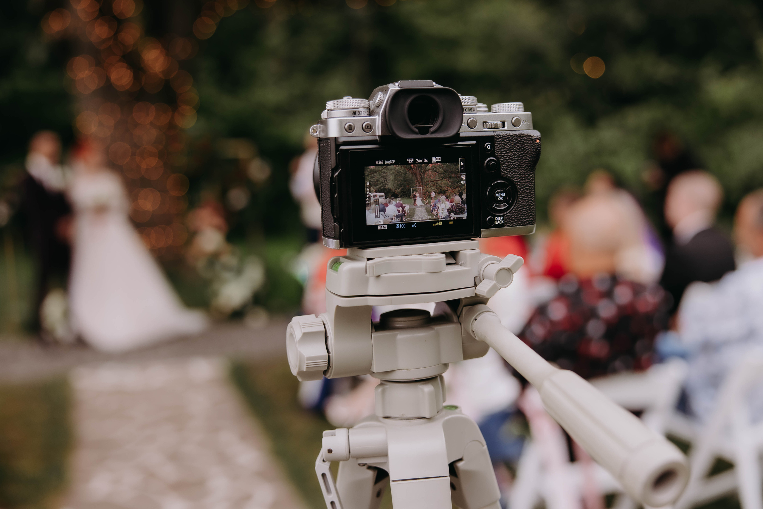 Движ на поляне. Галерея