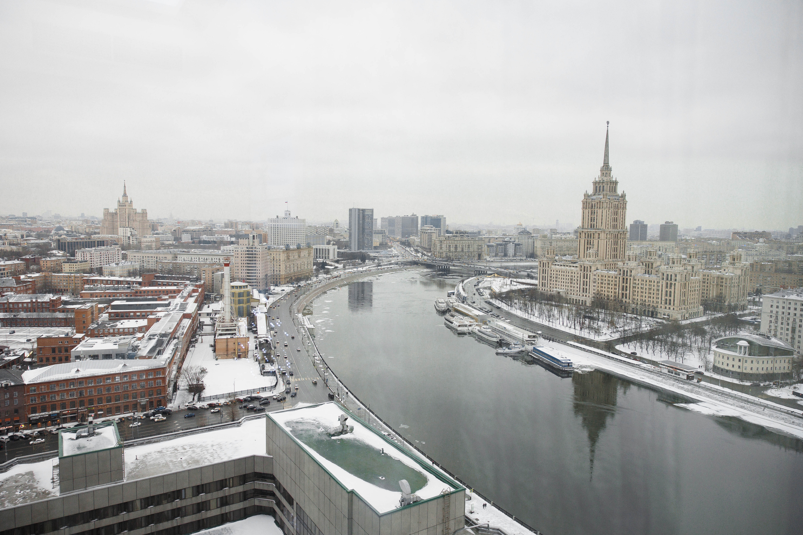 Собака, бургер и любовь. Галерея