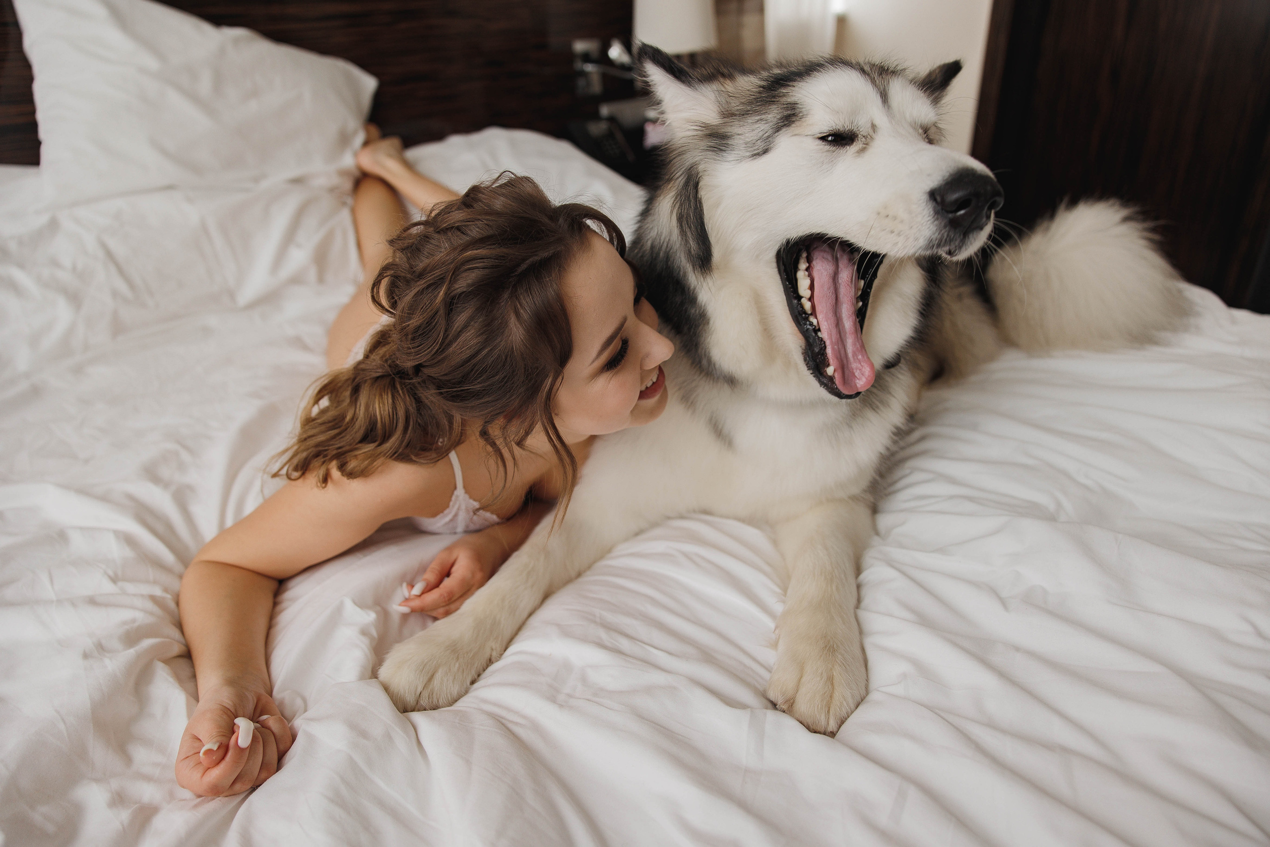 Собака, бургер и любовь. Галерея