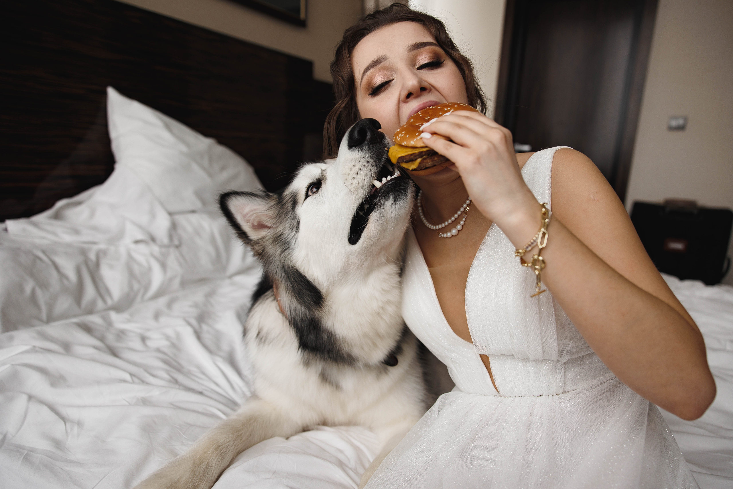 Собака, бургер и любовь. Галерея