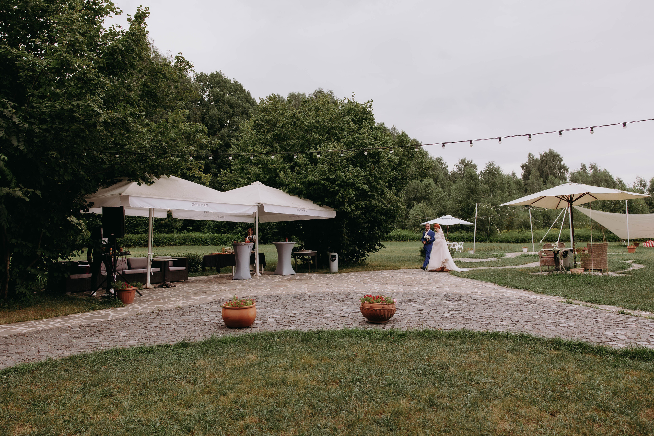 Движ на поляне. Галерея