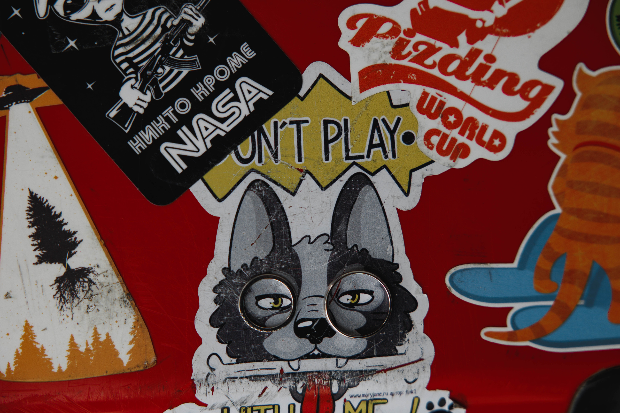 Собака, бургер и любовь. Галерея