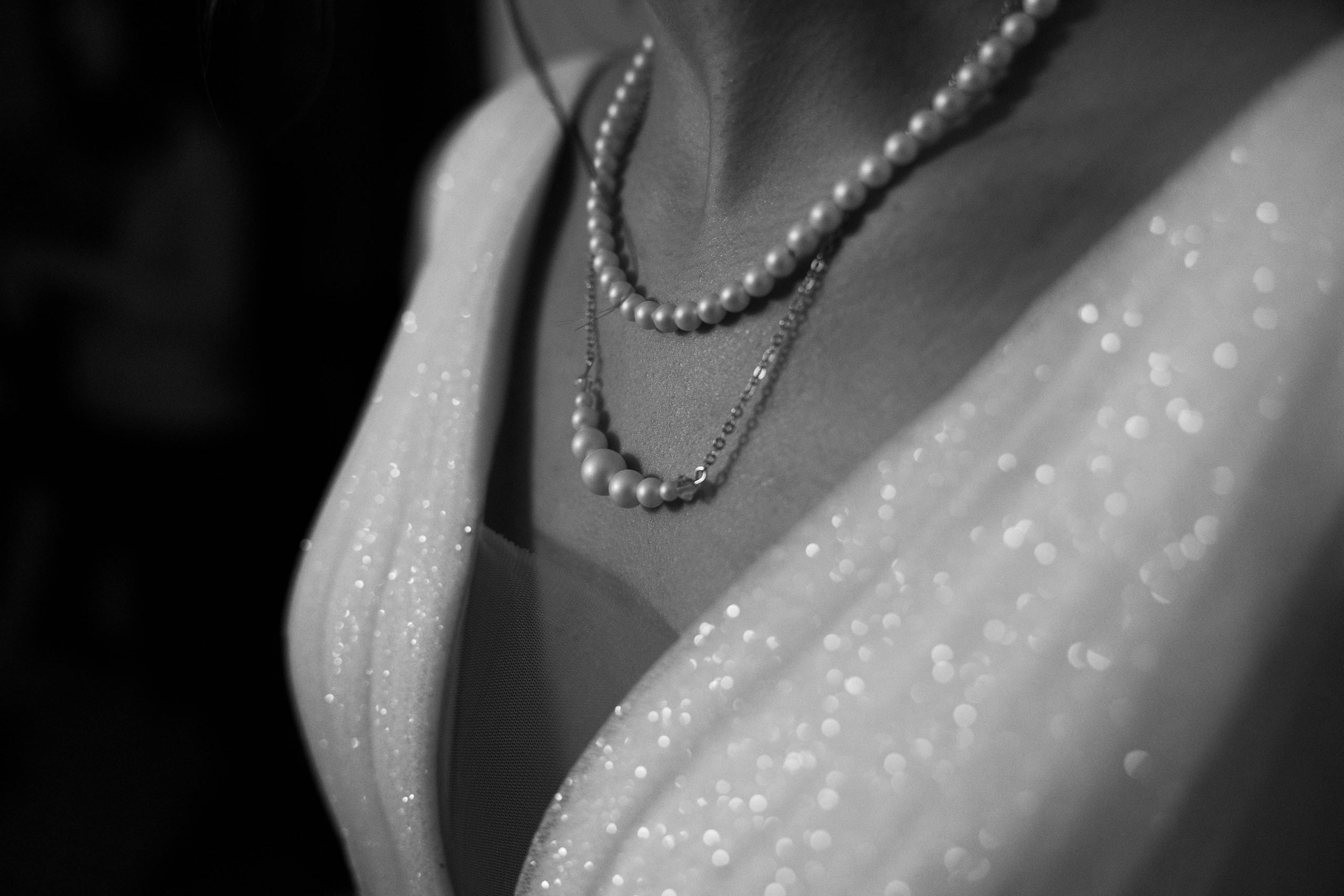 Собака, бургер и любовь. Галерея