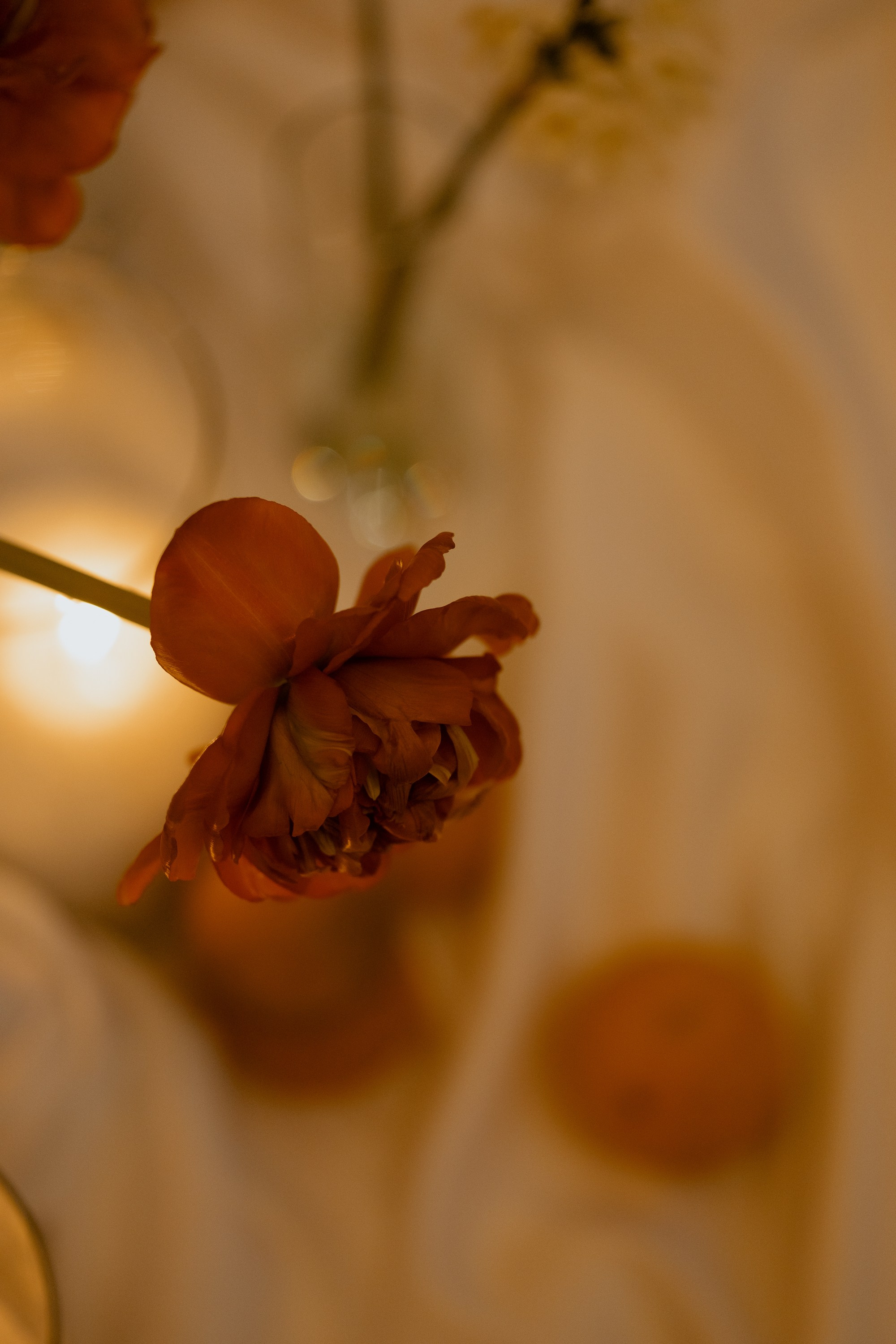 8 лет спустя. Миленина Юлия Свадебный и семейный фотограф в Краснодаре