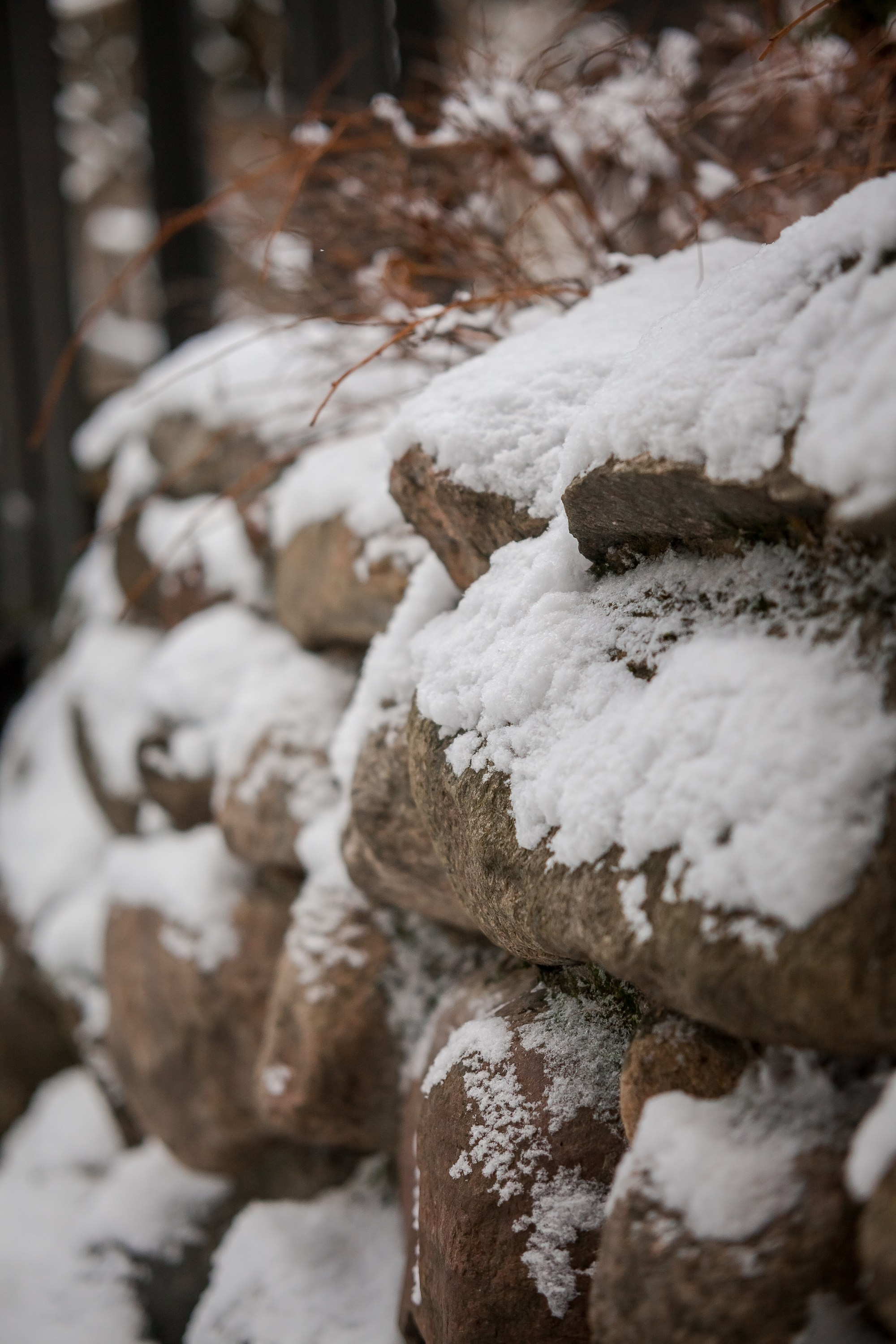 Спящий сад, Елены Асташкиной. Туманов Виталий — фотограф Москва