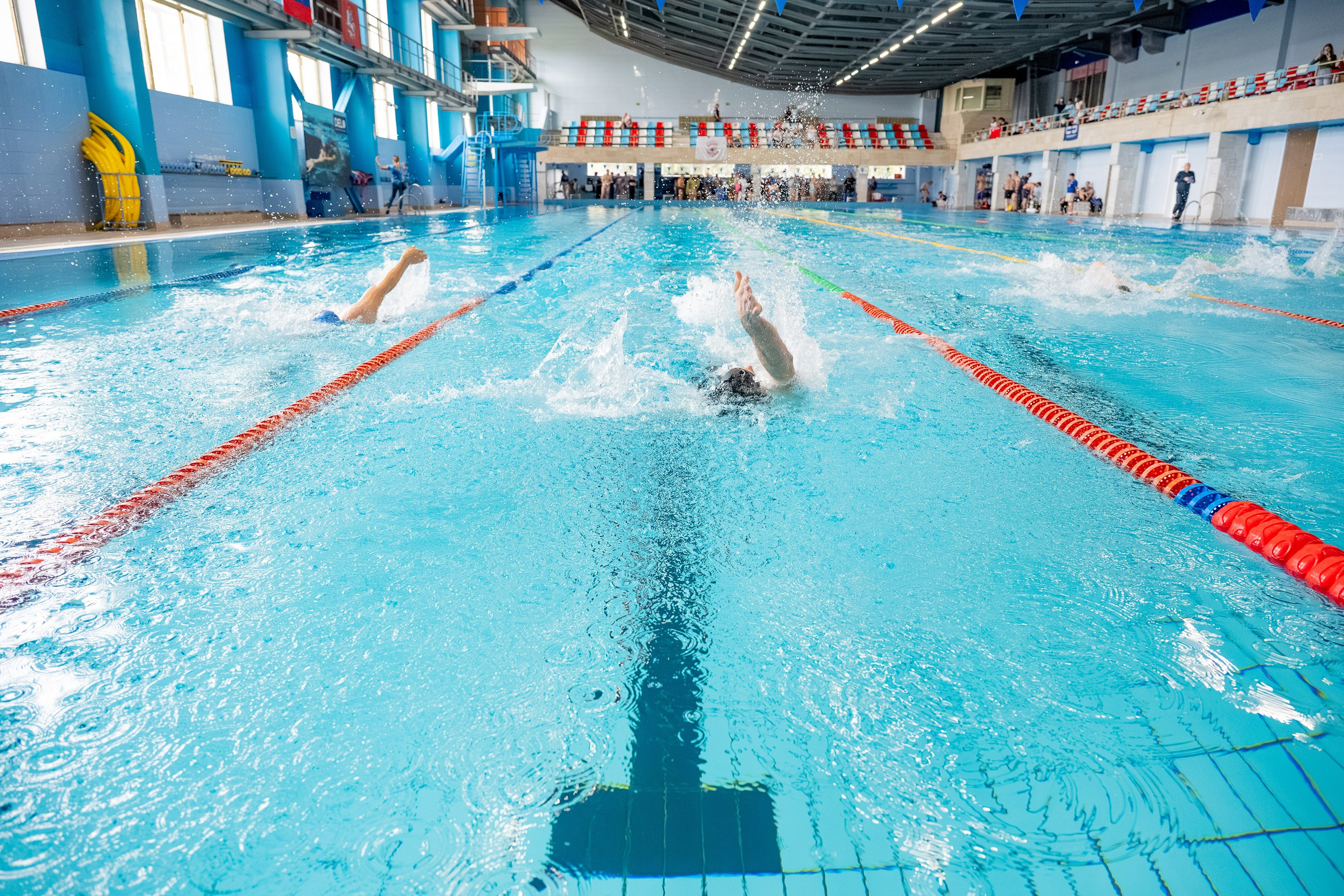 АРКС 2025 Плавание. Фотограф Киселев Егор