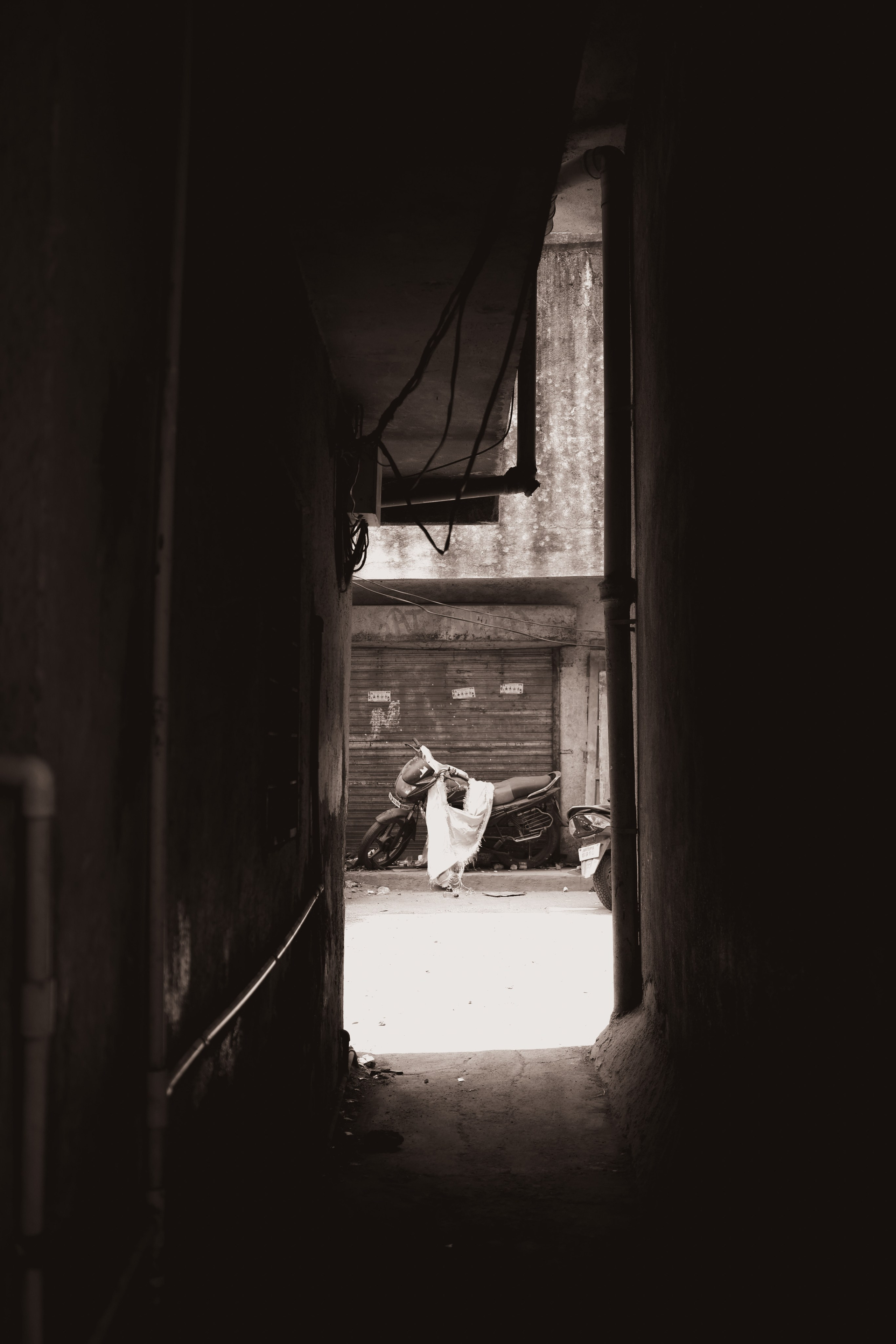 India. Фотограф в Москве