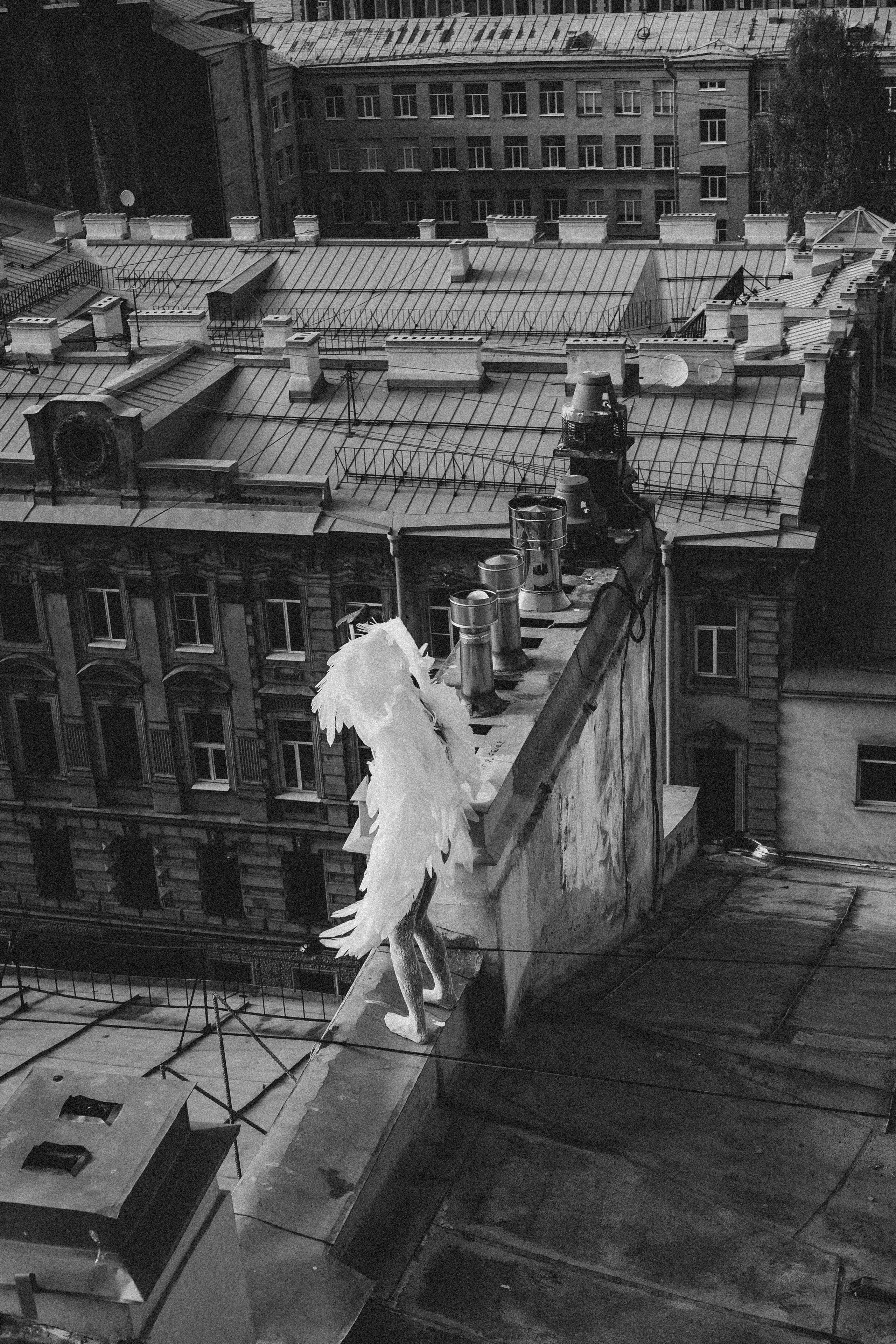 АНГЕЛ. Профессиональный фотограф, Санкт-Петербург — Виктория Богомолова