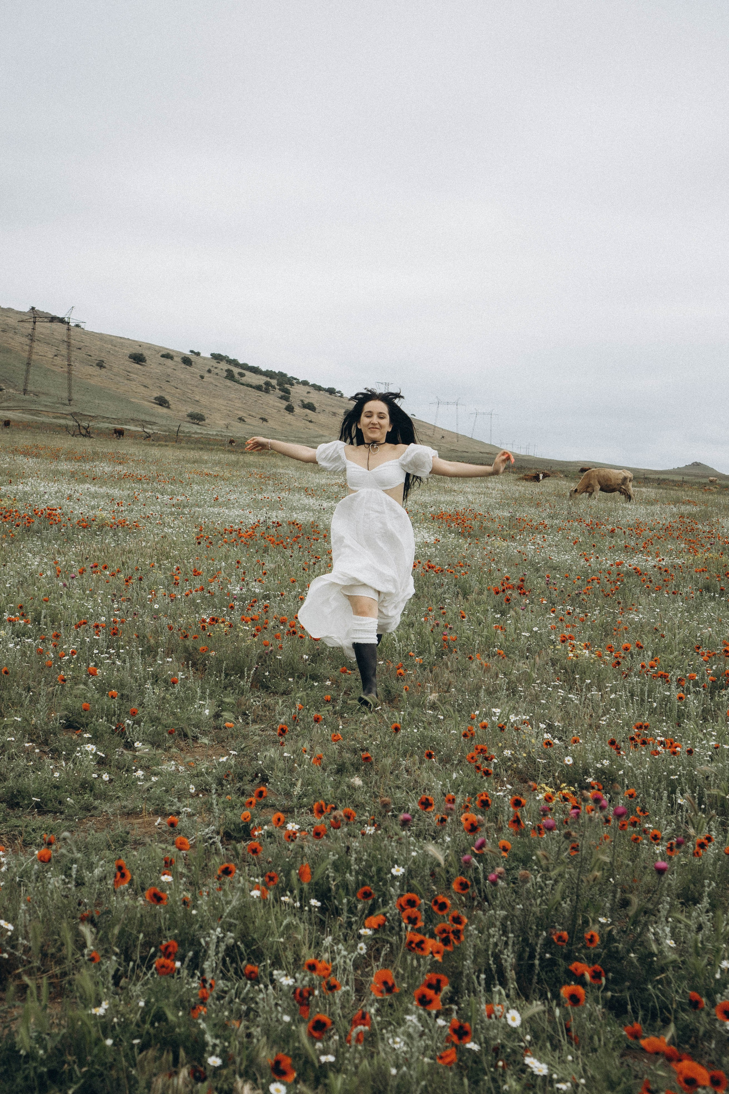 Маковое поле. Профессиональный фотограф, Санкт-Петербург — Виктория Богомолова