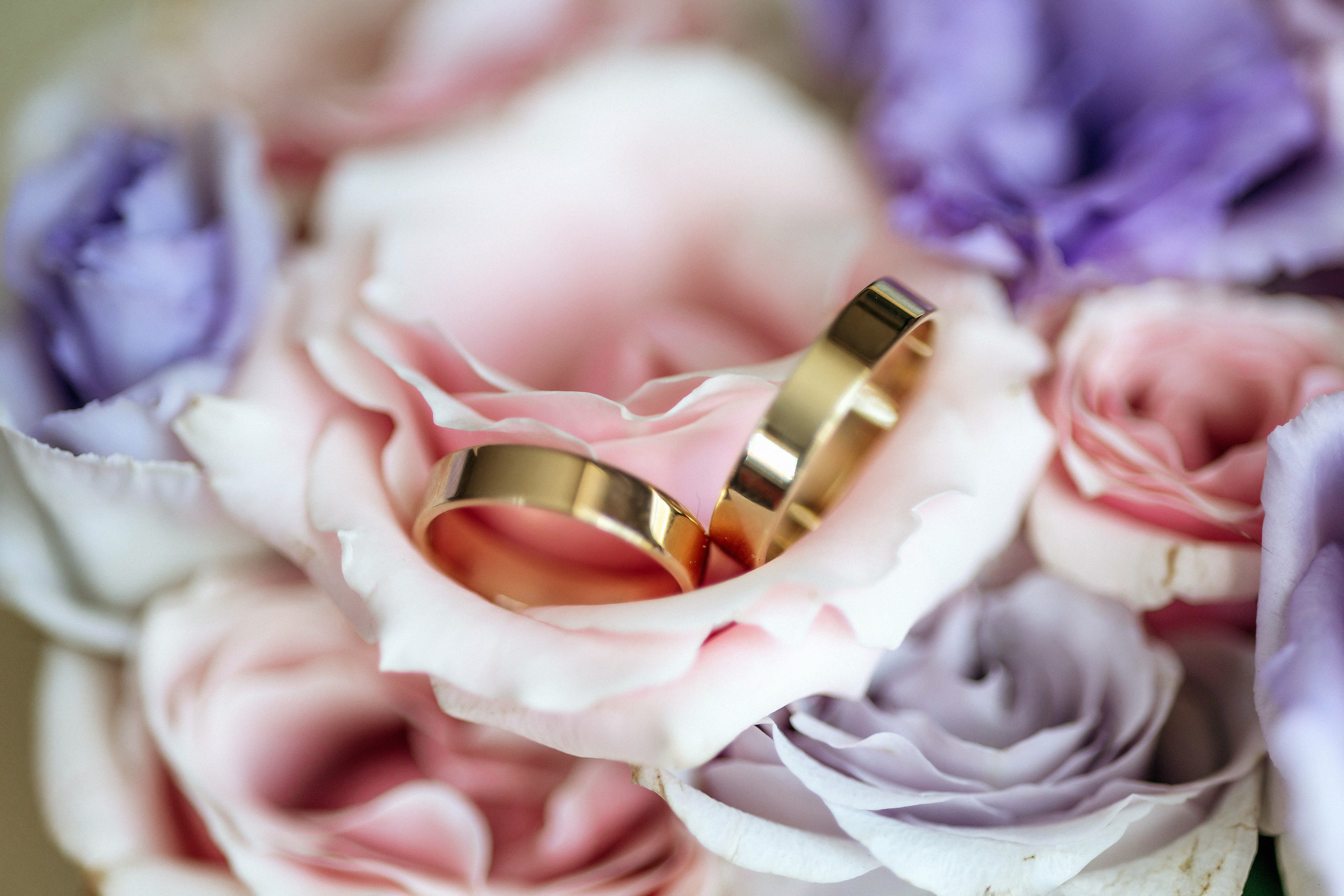 Сергей и Дарья 8 июля 2023. Фотограф в Калининграде свадебная фотография, репортажная, фотосессии