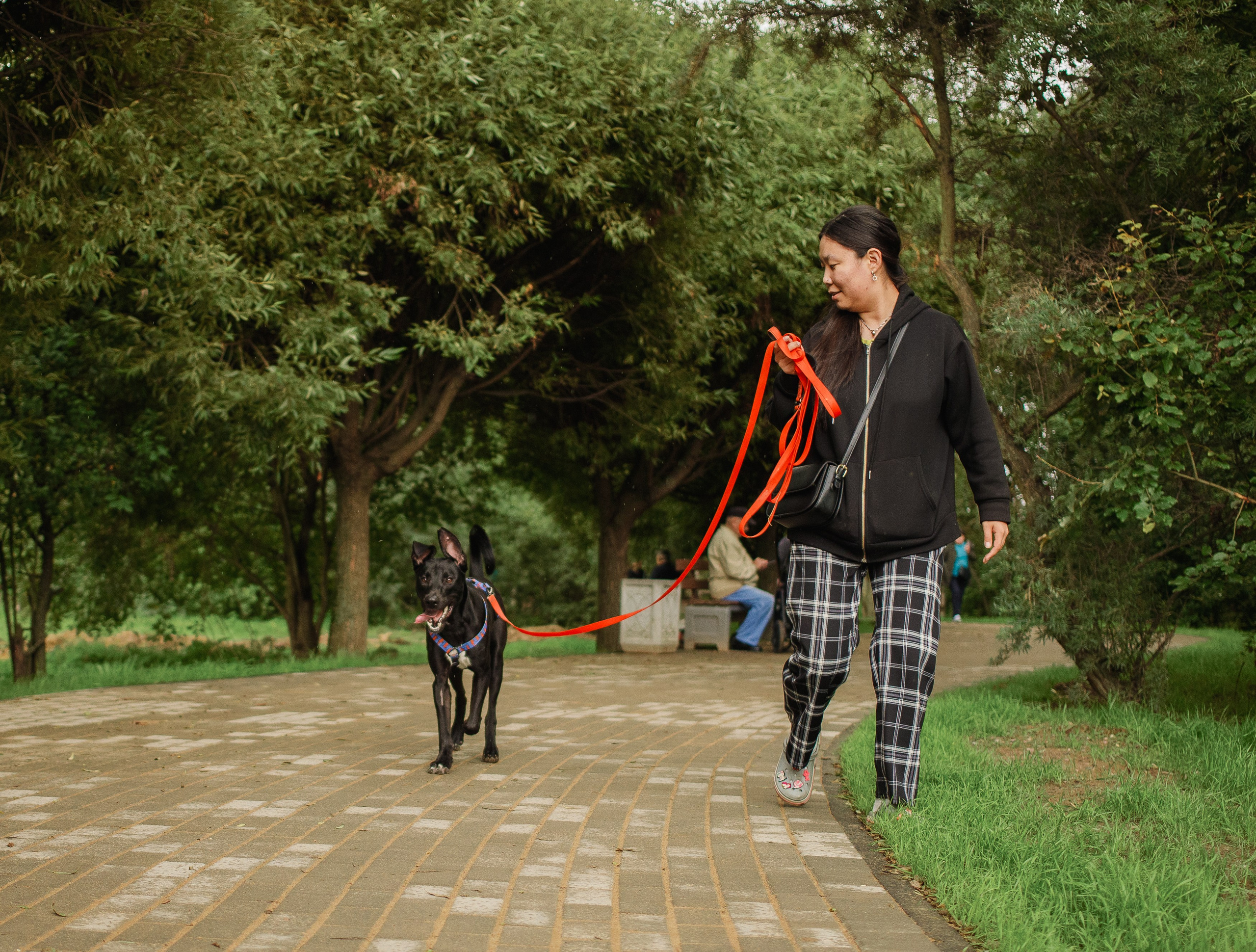 Отис ищет дом. Портретный фотограф в Санкт-Петербурге Катя Протасевич