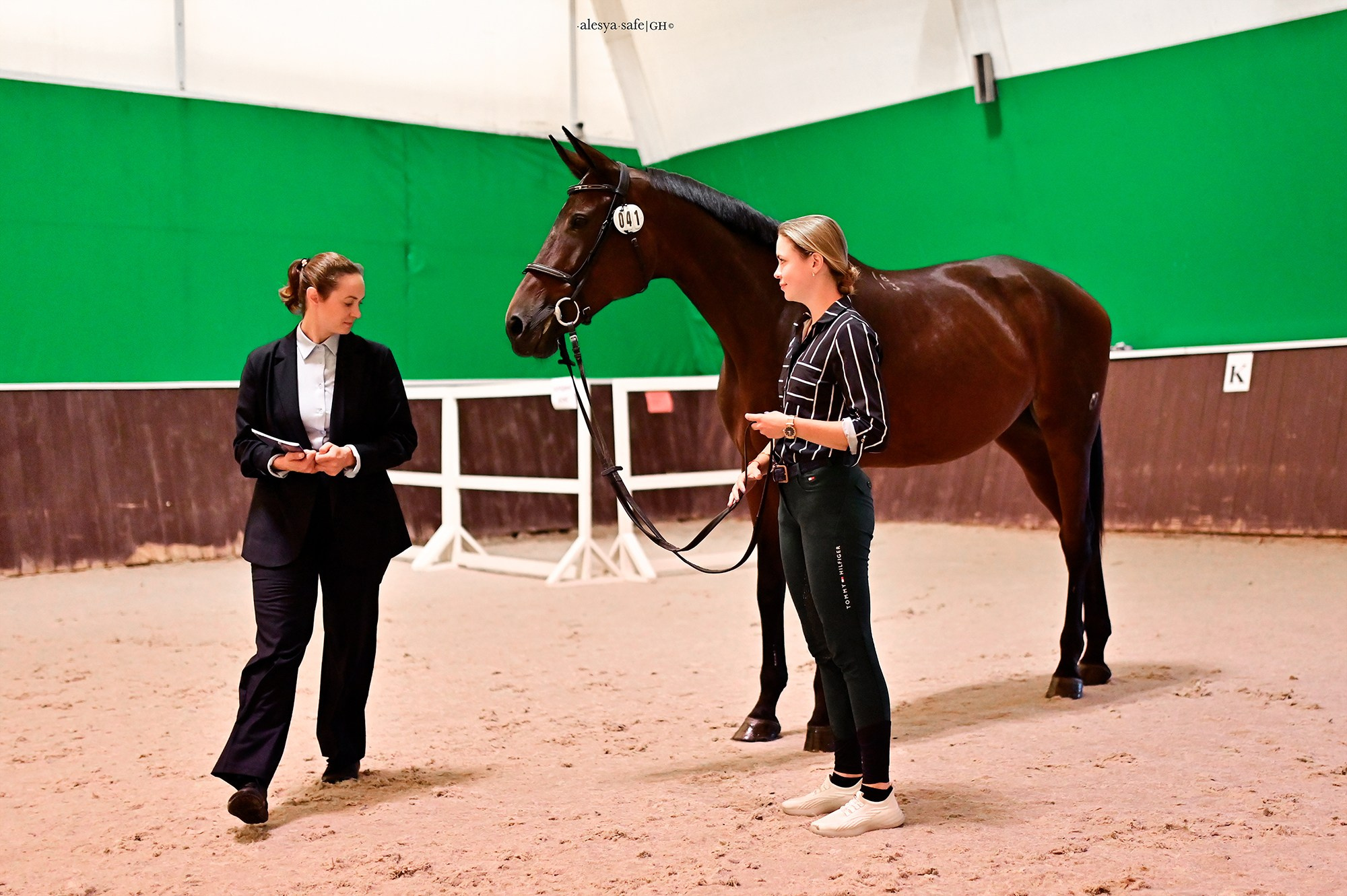 Голден. Конный фотограф Alesya Safe