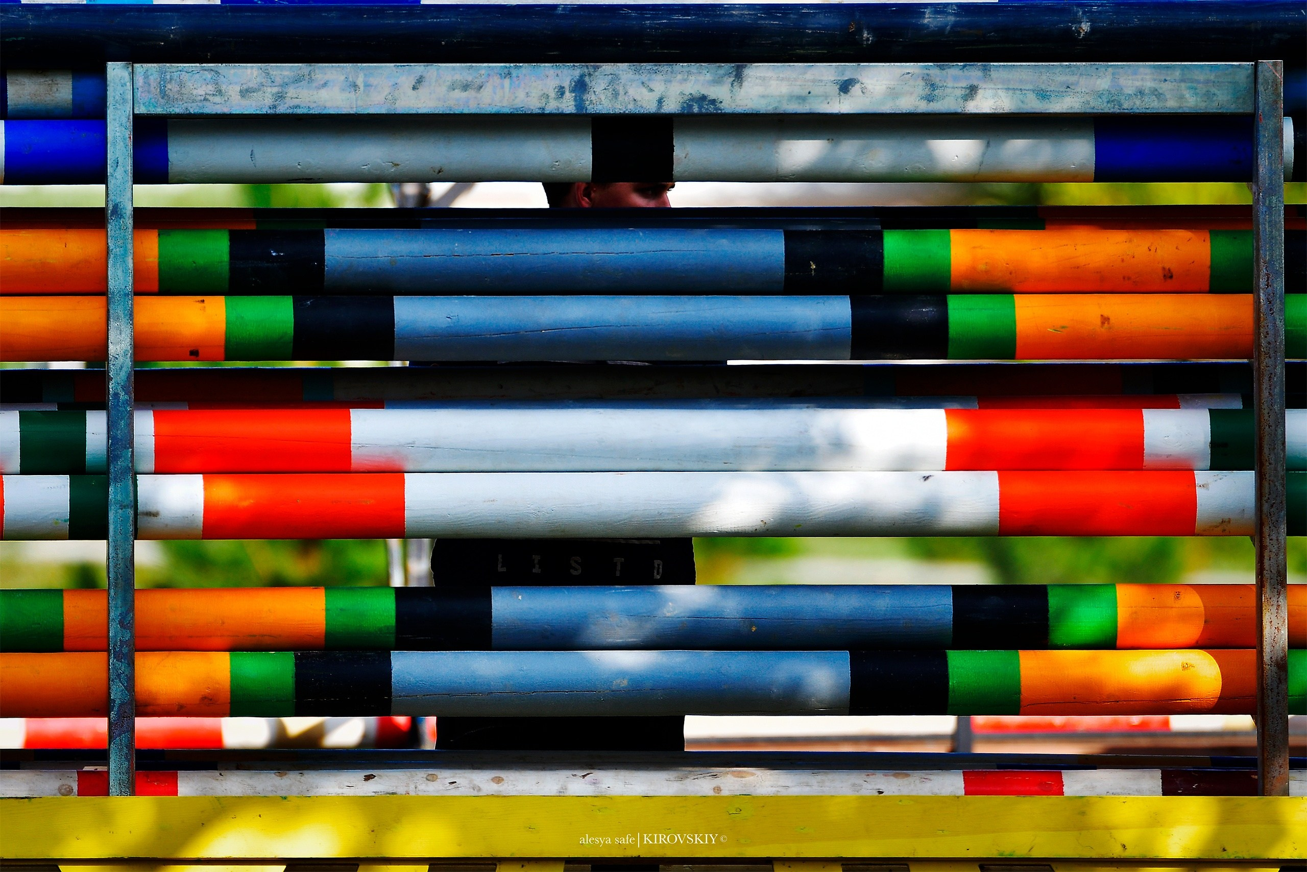 Кировский конный завод. Конный фотограф Alesya Safe