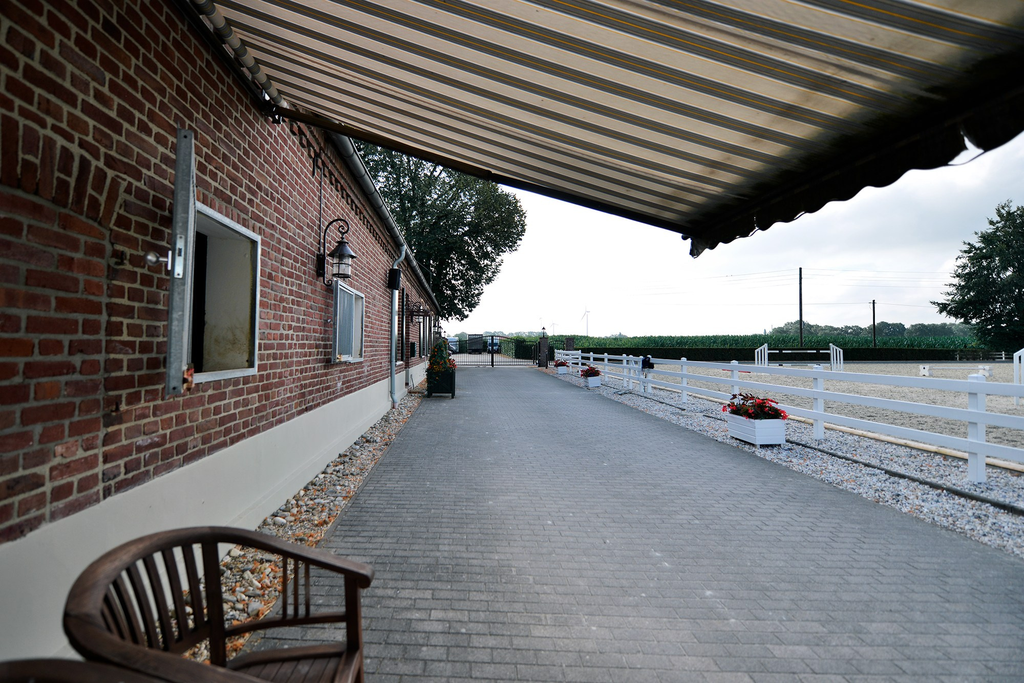 Конные клубы. Конный фотограф Alesya Safe