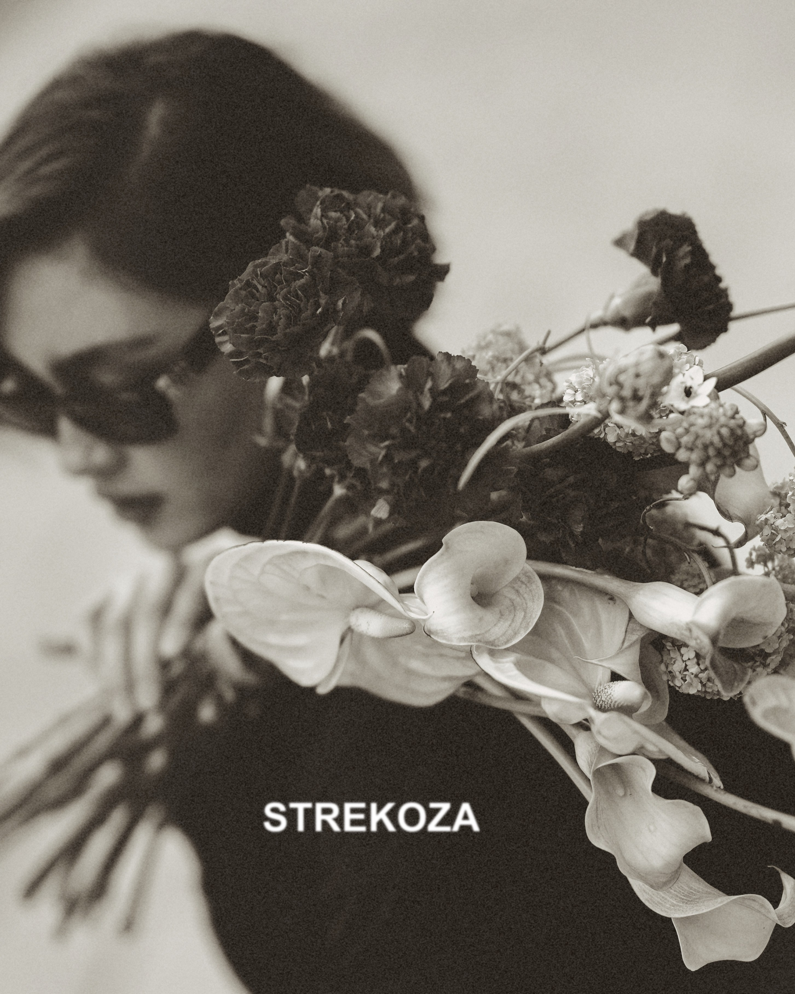 STREKOZA MAISON. Главная