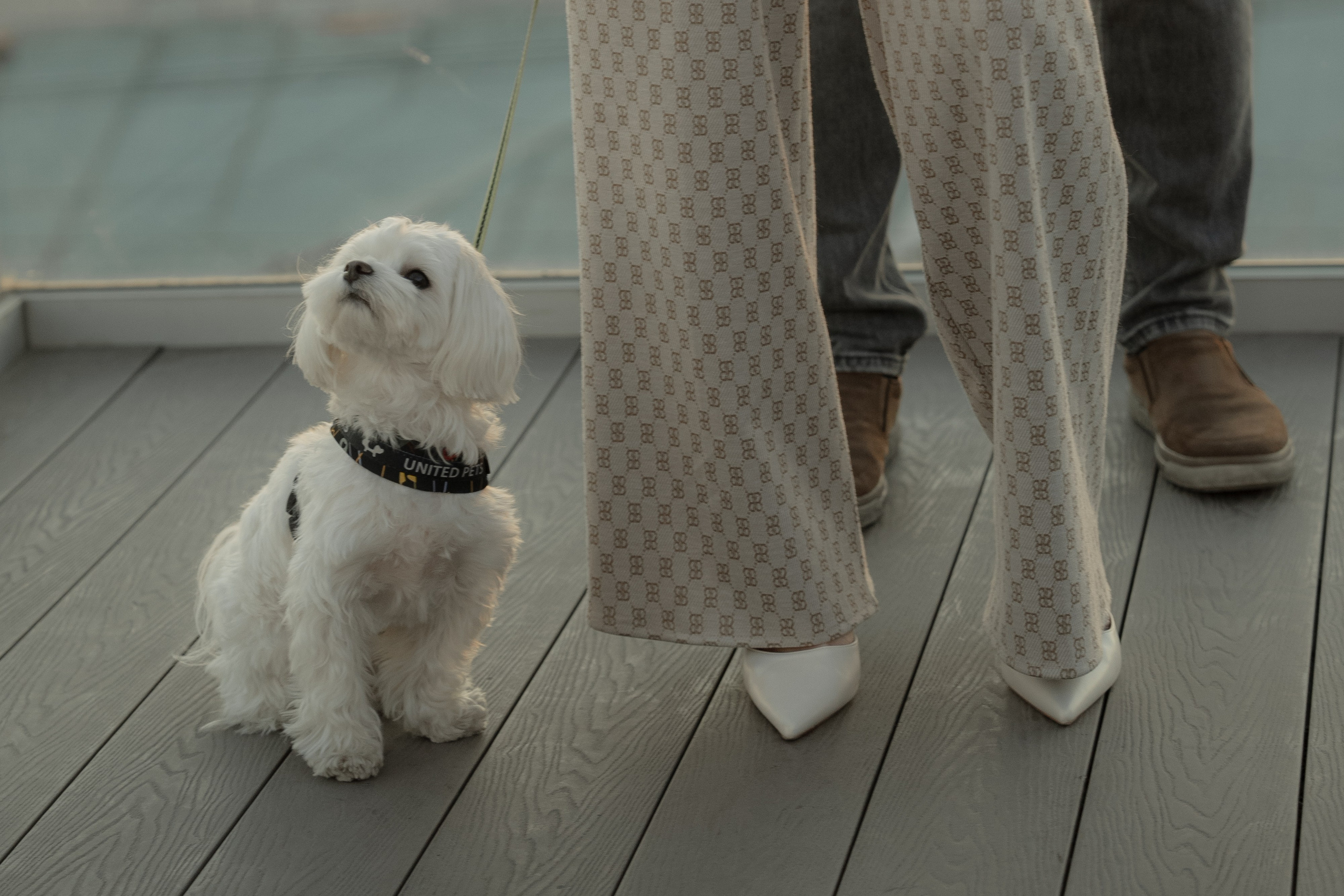 Алина & Егор. Свадебное агентство WedStories agency