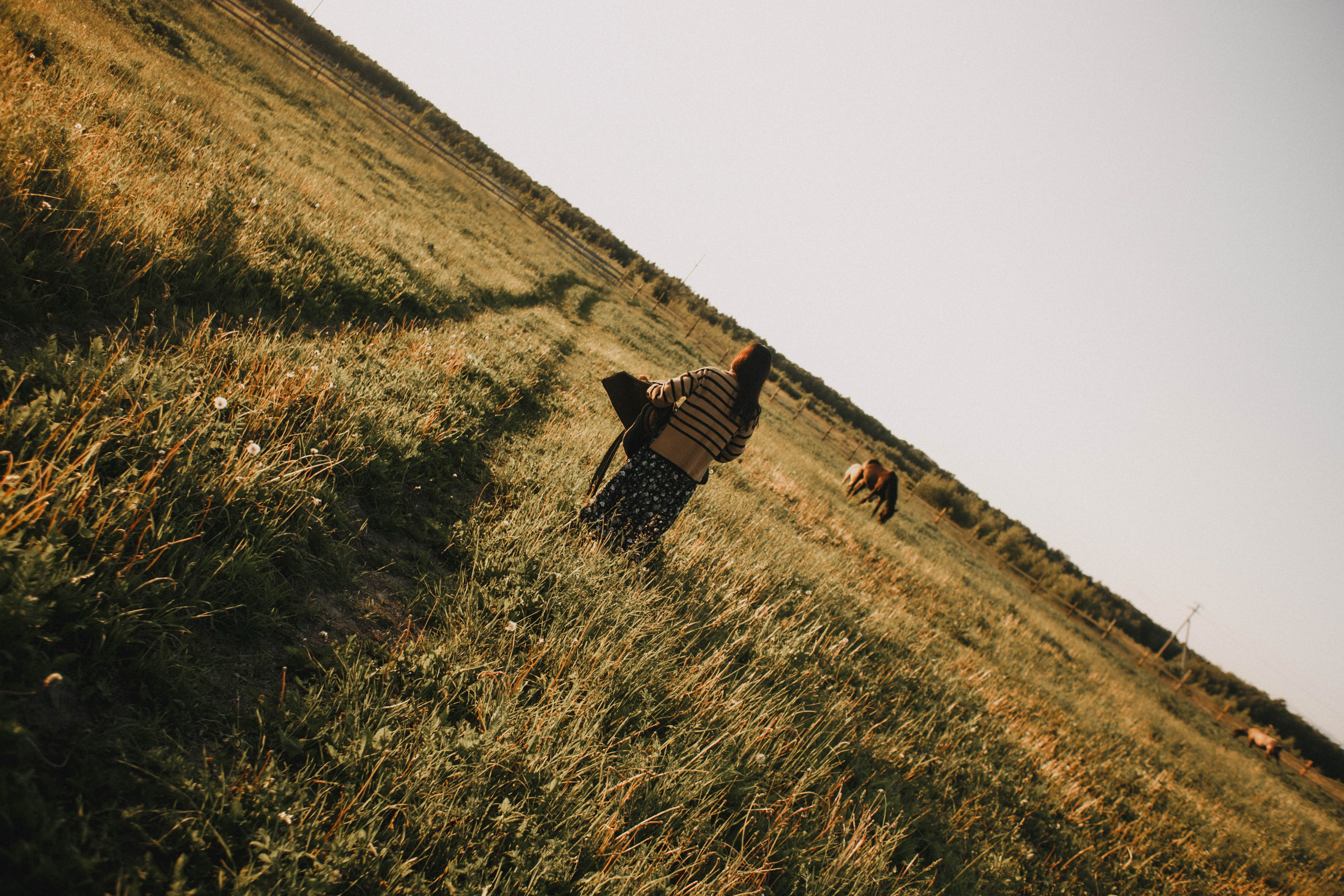 Варвара. Лошади. Закат. Фотограф в Нижнем Новгороде
