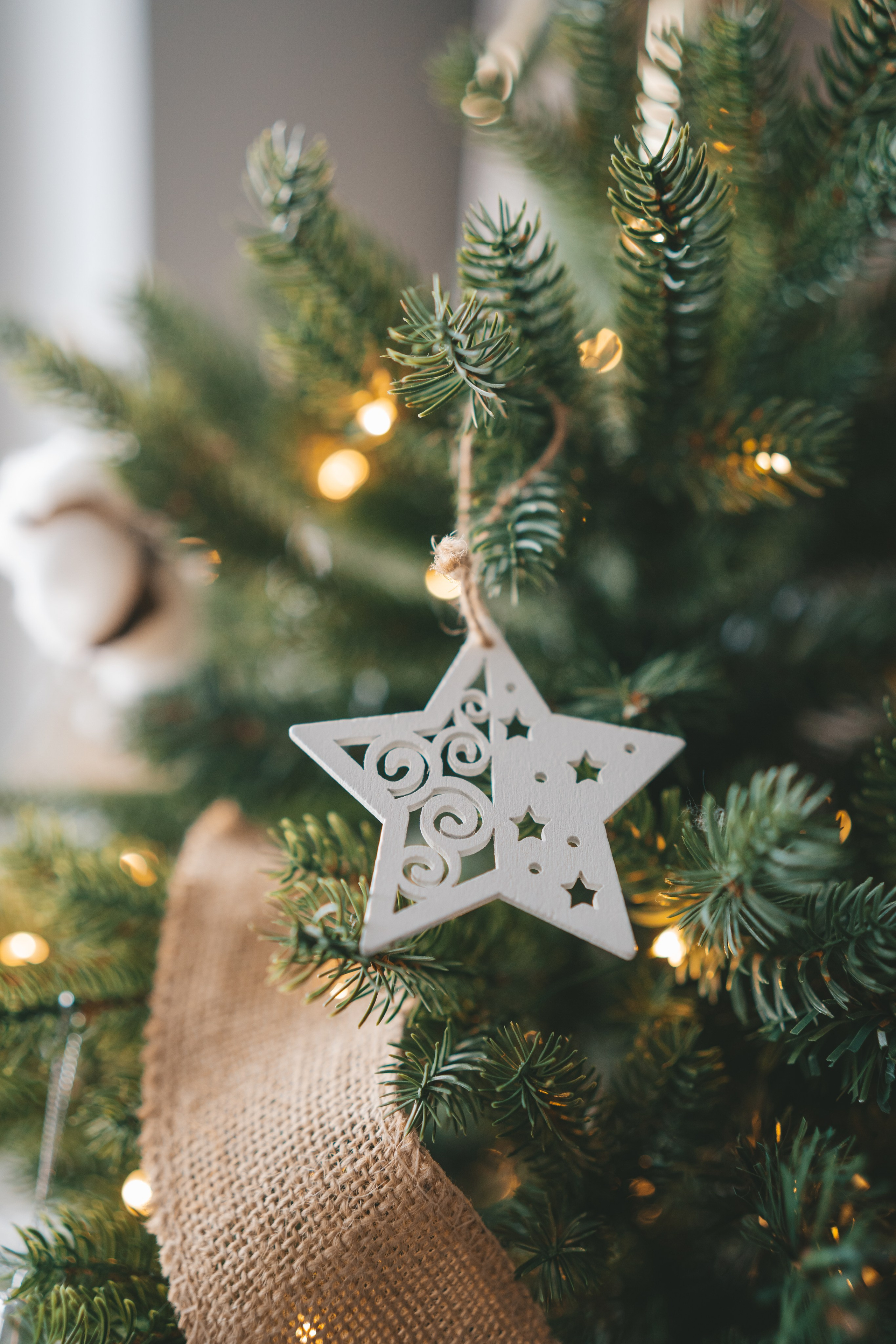 Новогодняя семейная съемка с двумя детьми. Фотограф Екатерина Канчалаба