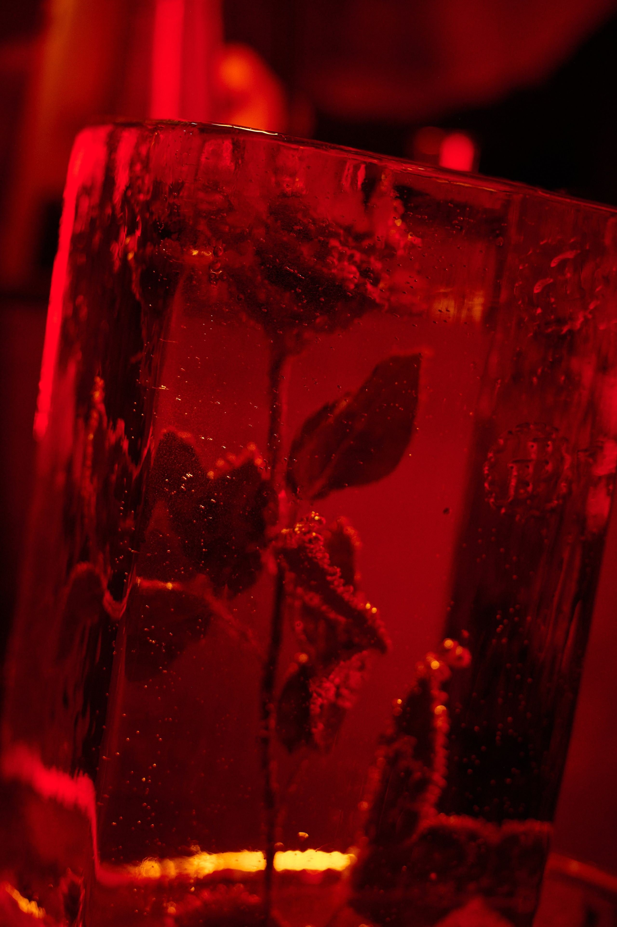 RED BALL (Four Seasons Lion Palace St. Petersburg 5*). Свадебный фотограф в Санкт-Петербурге, Москве, СПб Сергей Поддубный