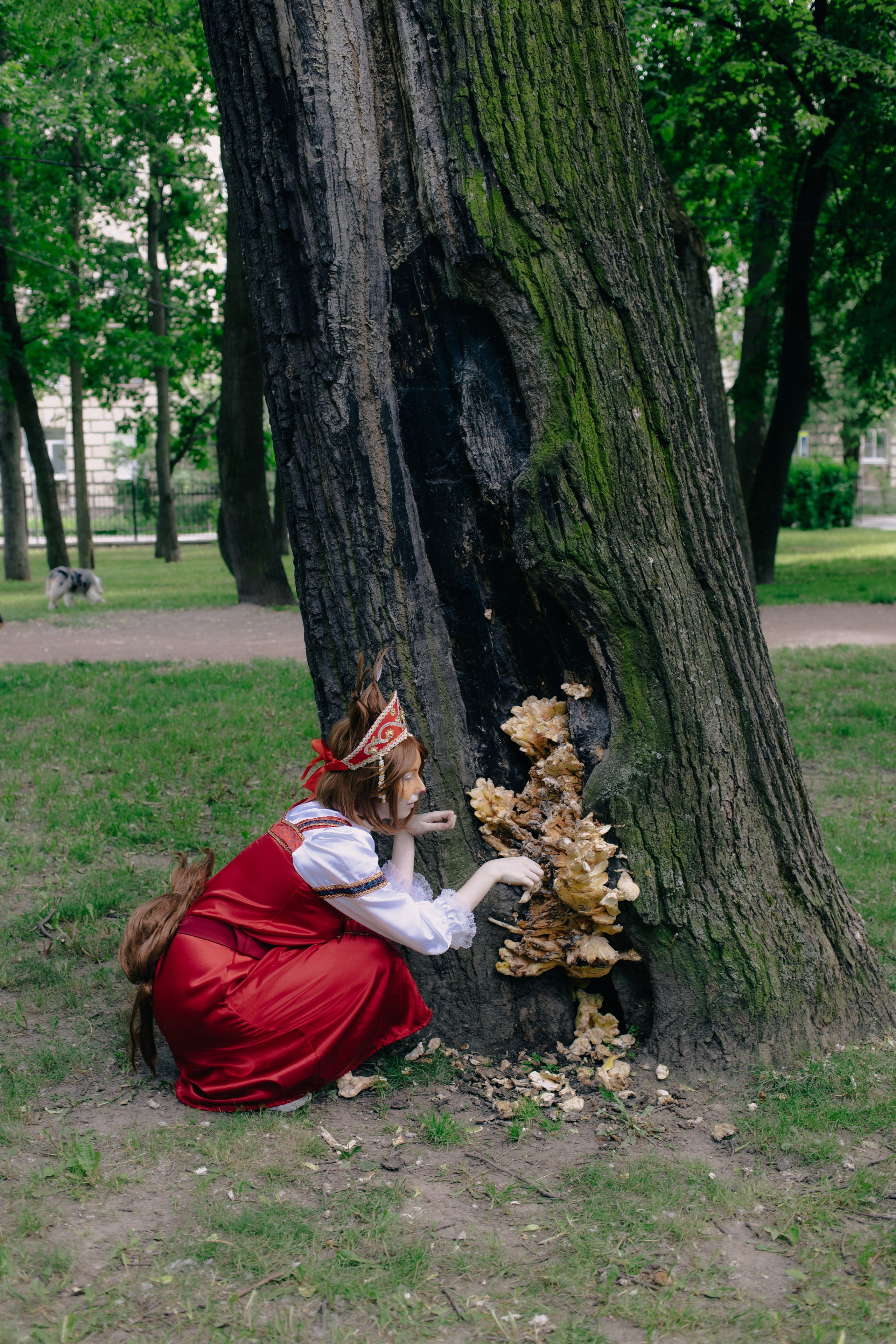 Сказки. Репортажный фотограф Анастасия Головко