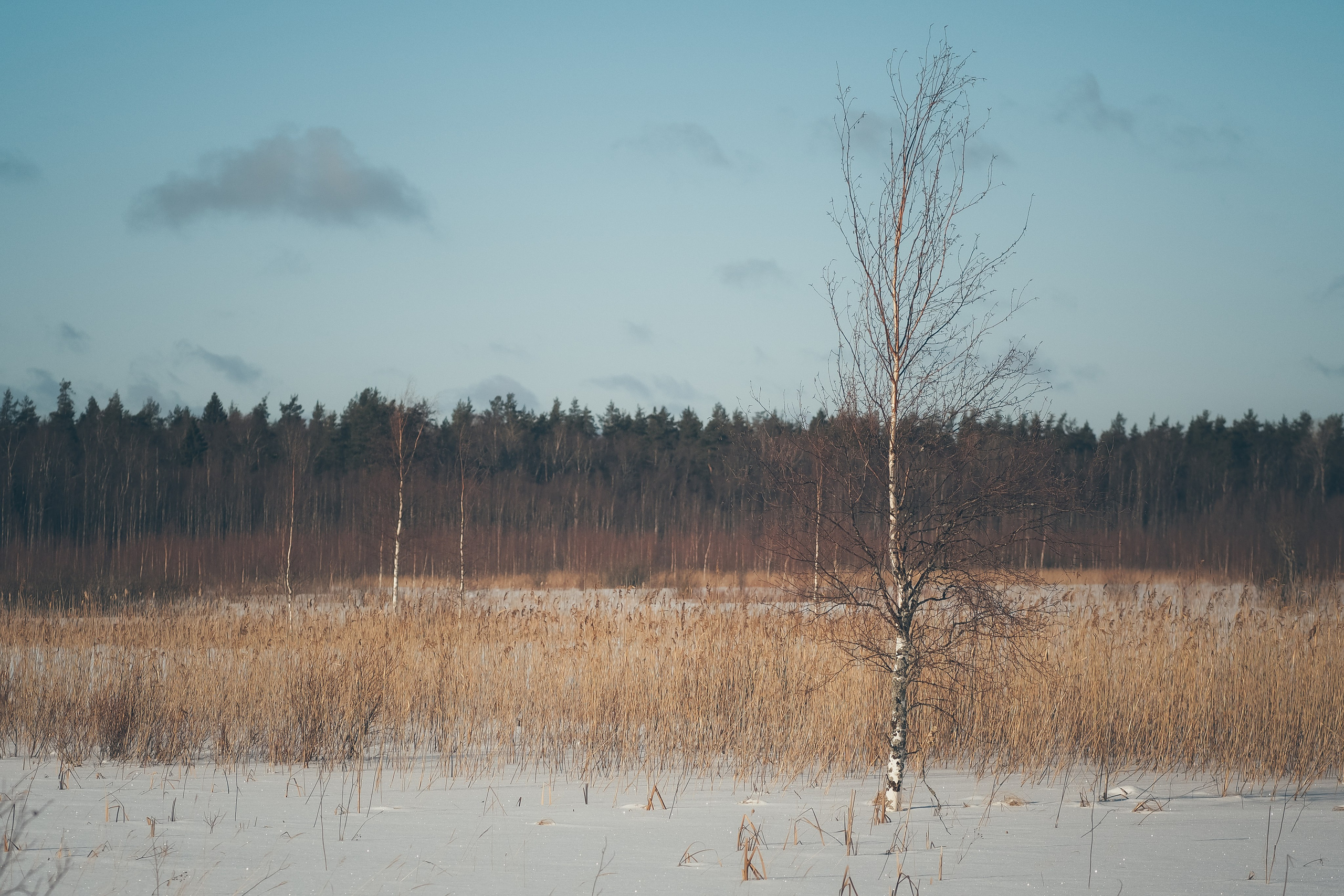 Другое. Свадебный фотограф Копков Геннадий