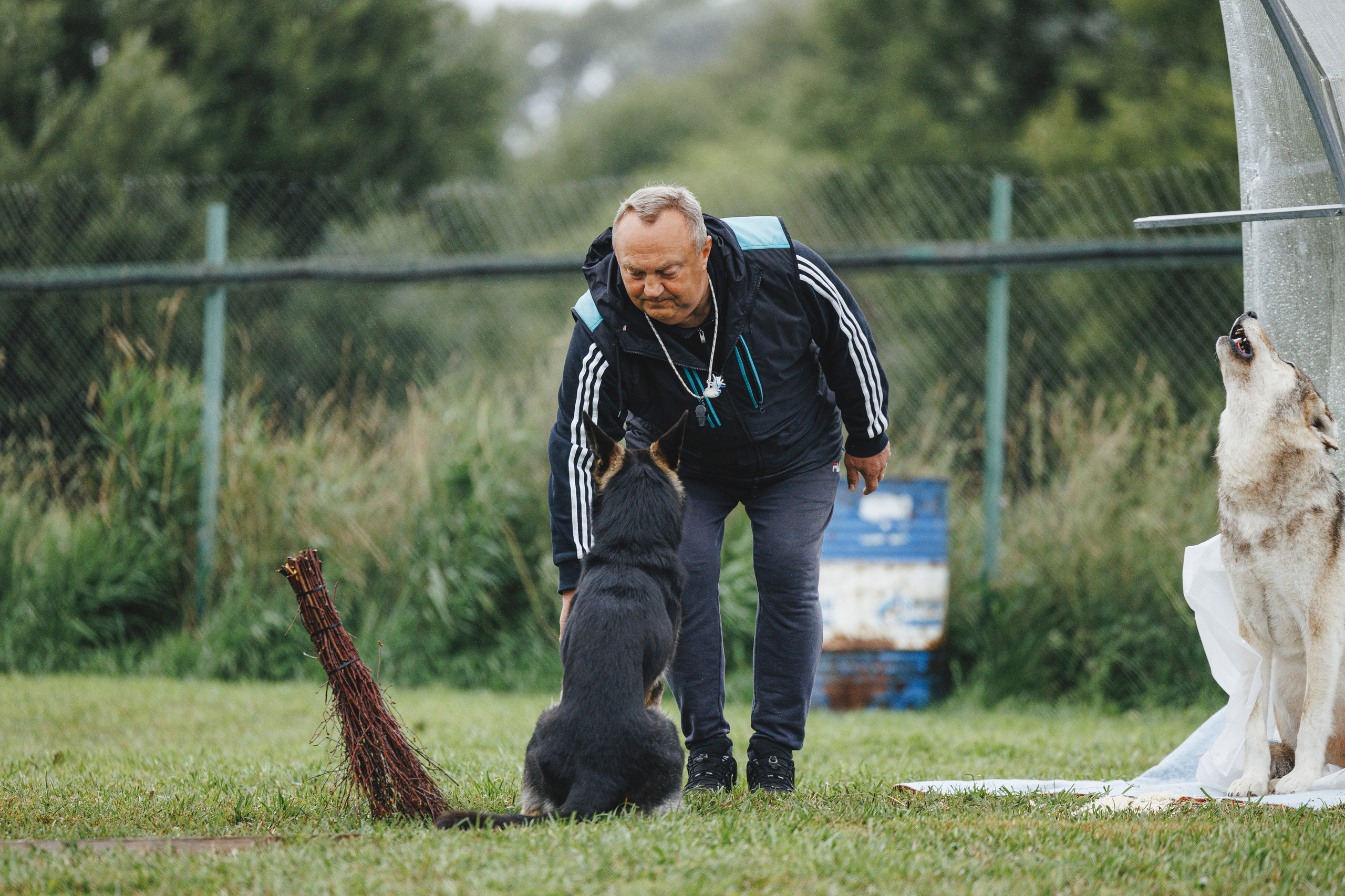 08.08.25-10.08.25 ЧР по мондьорингу г. Вологда. Фотограф-анималист Анна Маринич