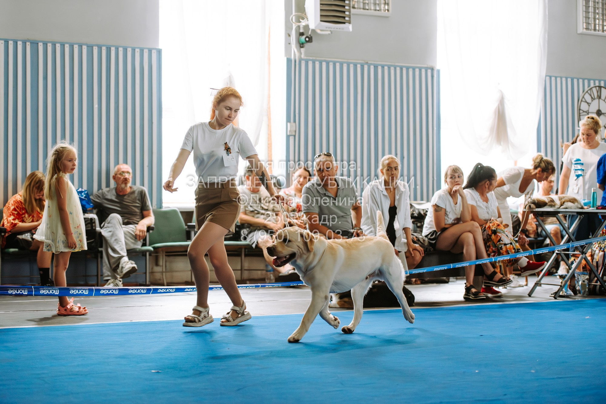 Национальная выставка собак всех пород ранга САС-IKU «Кубок Красноярск. Фотограф Диана Оленина Красноярск / Братск