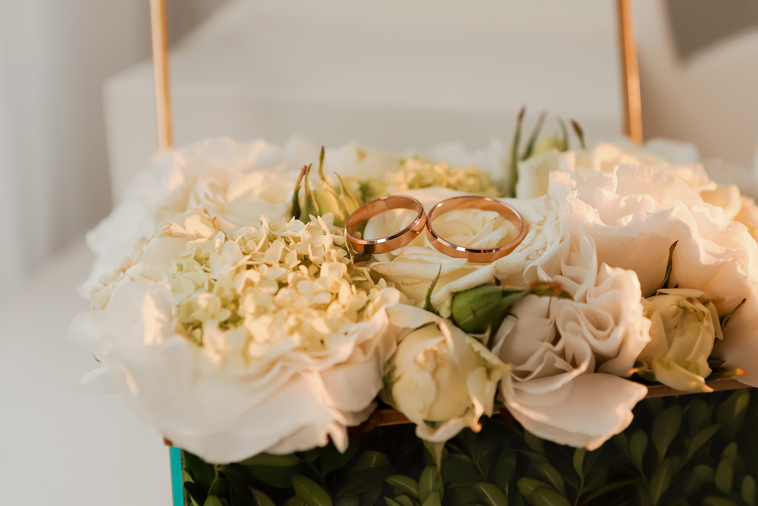 Юлия и Михаил. Свадебный фотограф Евгения Фролова г. Каменск-Шахтинский, Донецк, Ростов